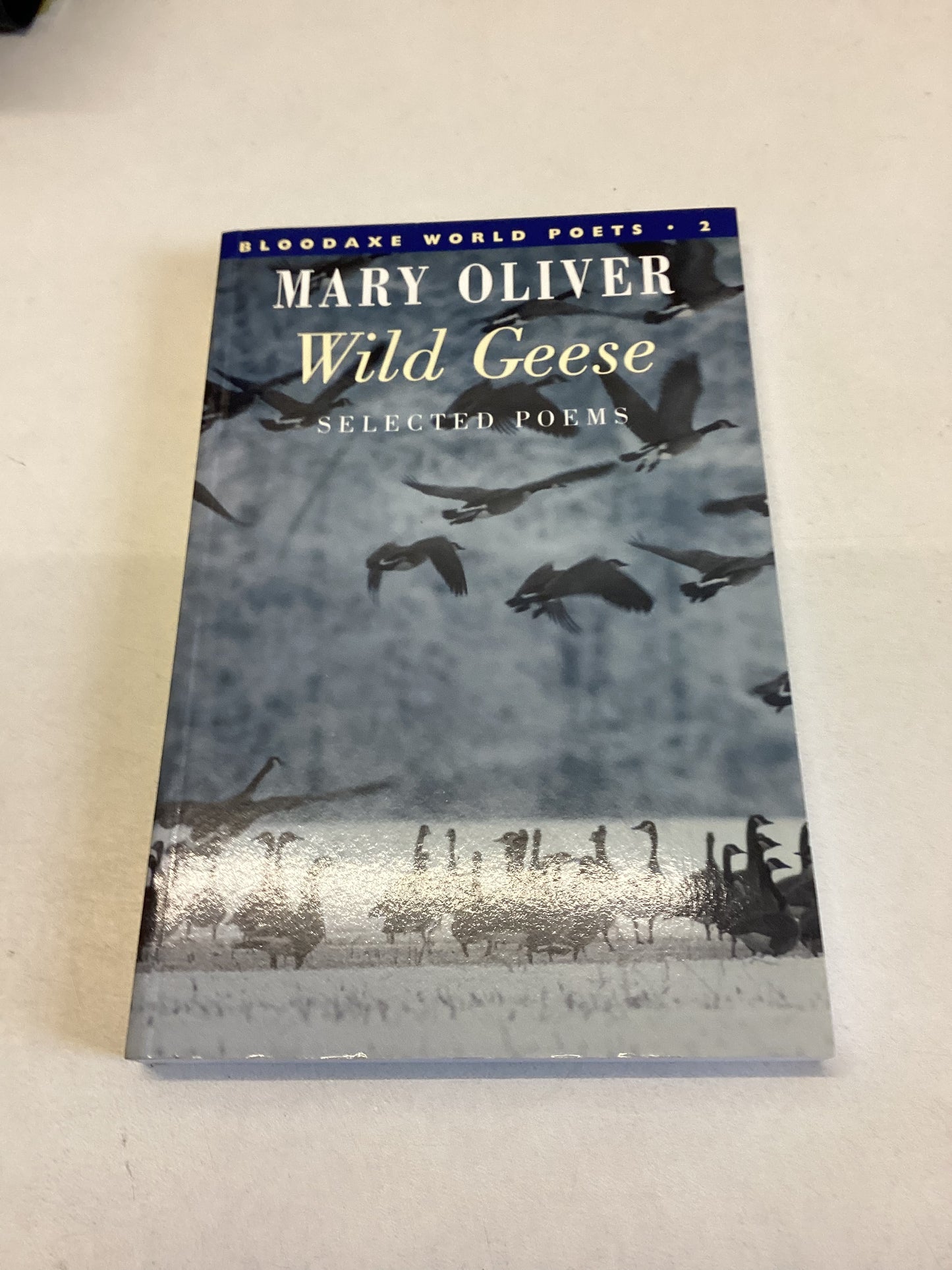 Wild Geese Mary Oliver Selected Poems