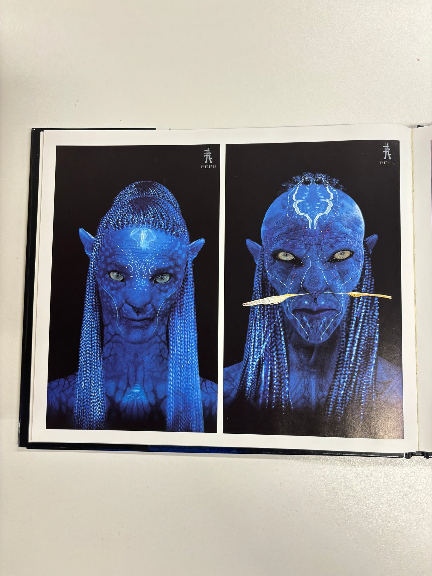 The Art of Avatar: James Cameron Epic Adventure; 2009; Hardcover