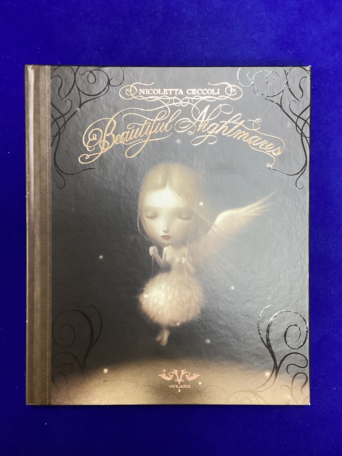 Beautiful Nightmares, Nicoletta Ceccoli, Hardback, 2011