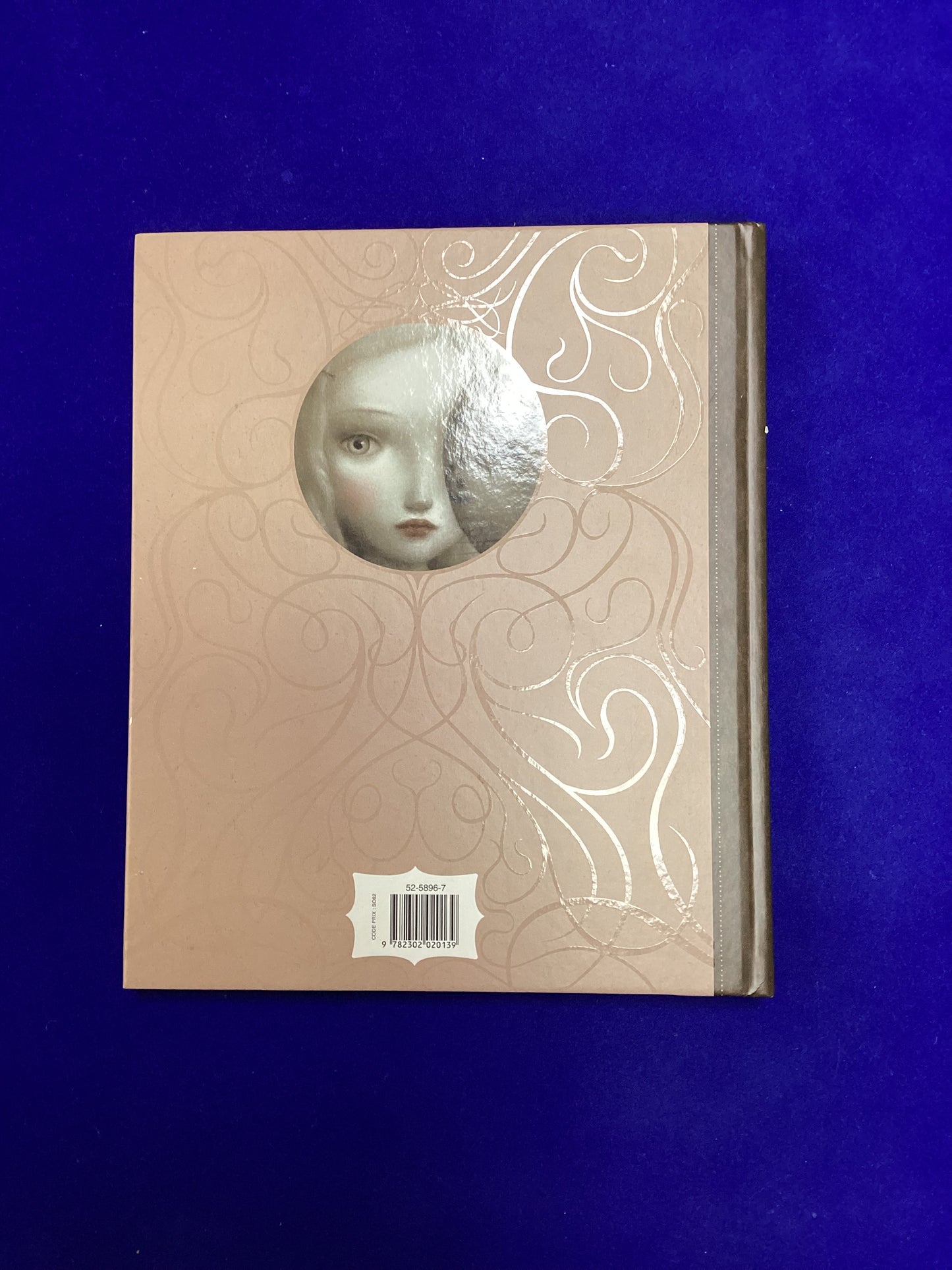 Beautiful Nightmares, Nicoletta Ceccoli, Hardback, 2011