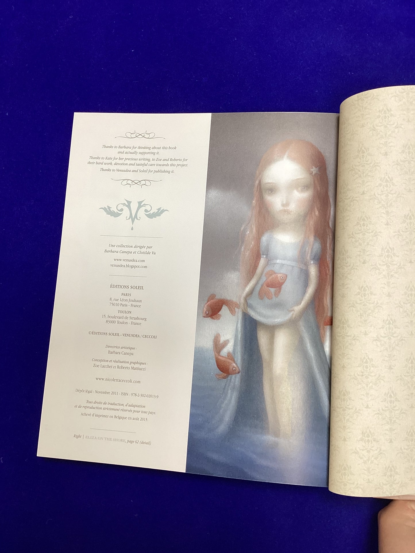 Beautiful Nightmares, Nicoletta Ceccoli, Hardback, 2011