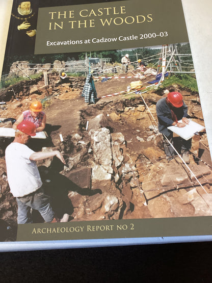 The Castle In The Woods Excavations at Cadzow Castle 2000 - 2003 Archaeology Report No 2
