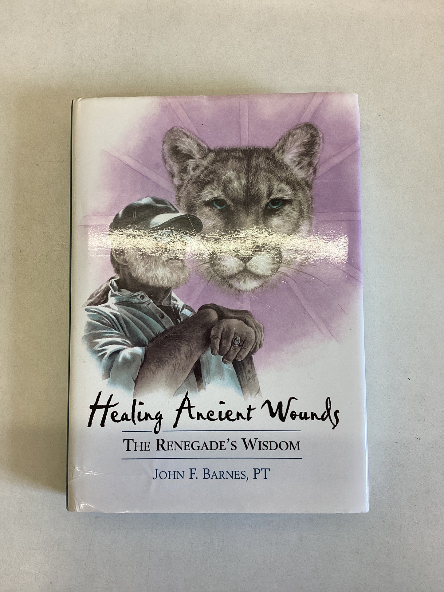 Healing Ancients Wounds The Renegades Wisdom John F Barnes PT