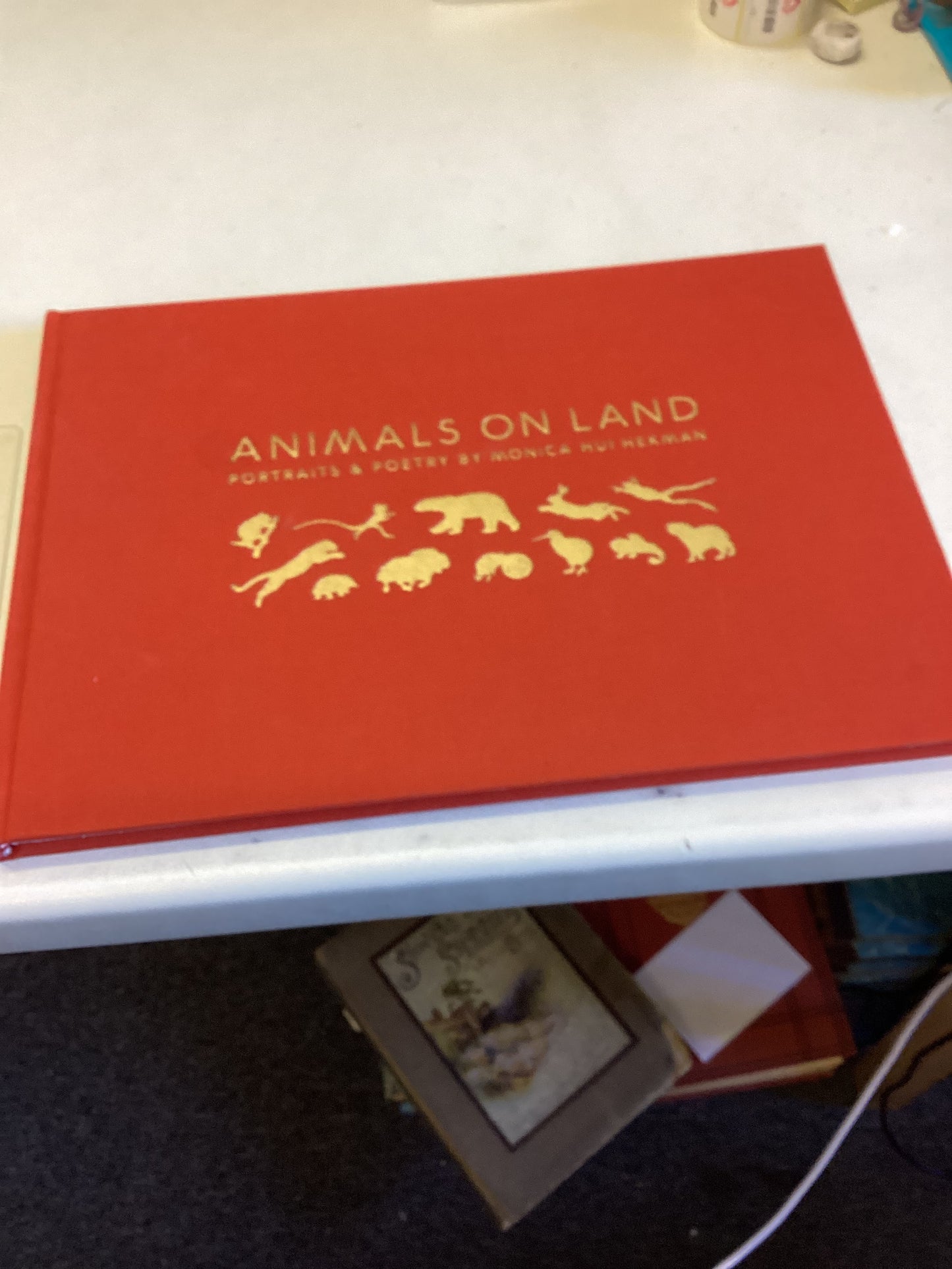 Animals On Land Portraits and Poetry By Monica Hui Hekman