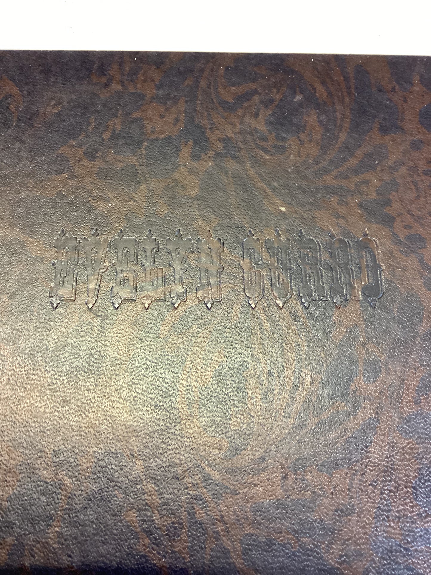 The American Eye of Evelyn Curro Forward By Evelyn Curro