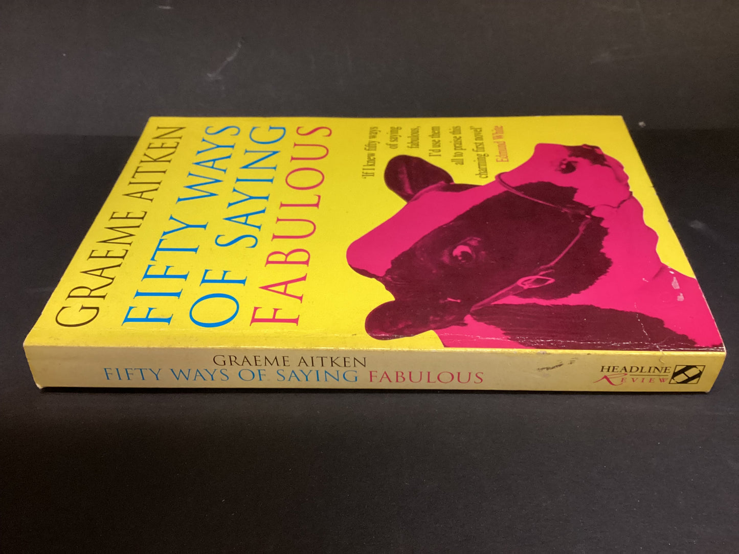 Fifty Ways of Saying Fabulous by Graeme Aitken