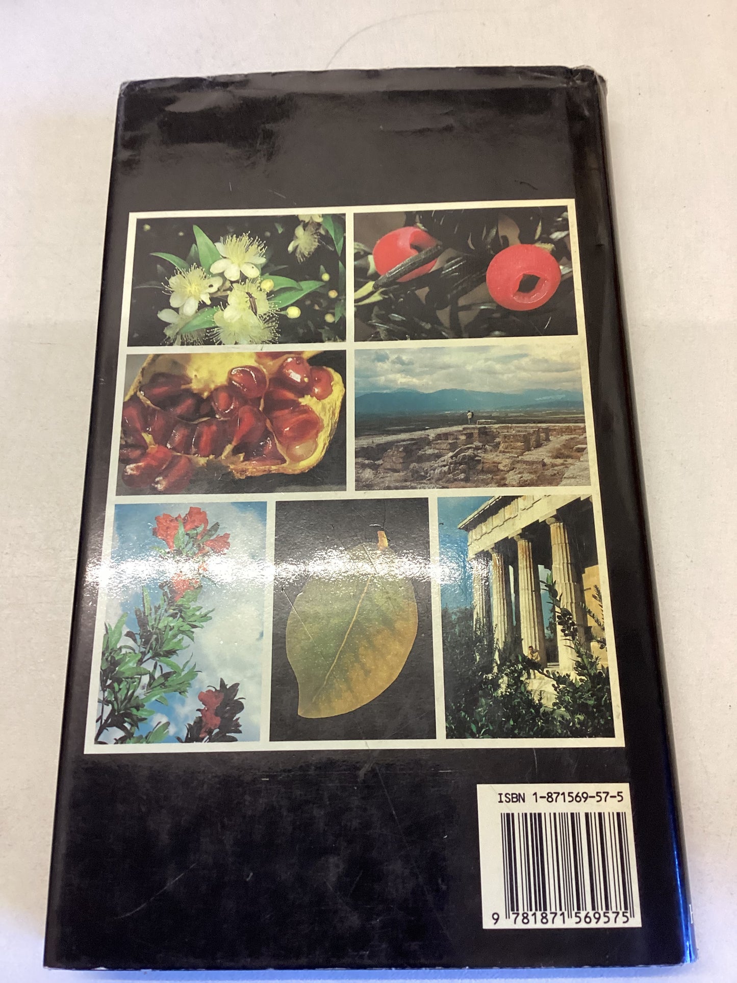 Greek Wild Flowers and Plant Lore In Ancient Greece Hellmut Baumann