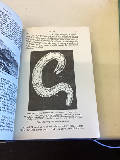 Notes By A Naturalist Made During The Voyage of H.M.S. Challenger H N Mosley