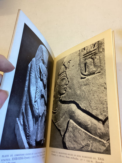 Dynastic Egypt In The Royal Scottish Museum