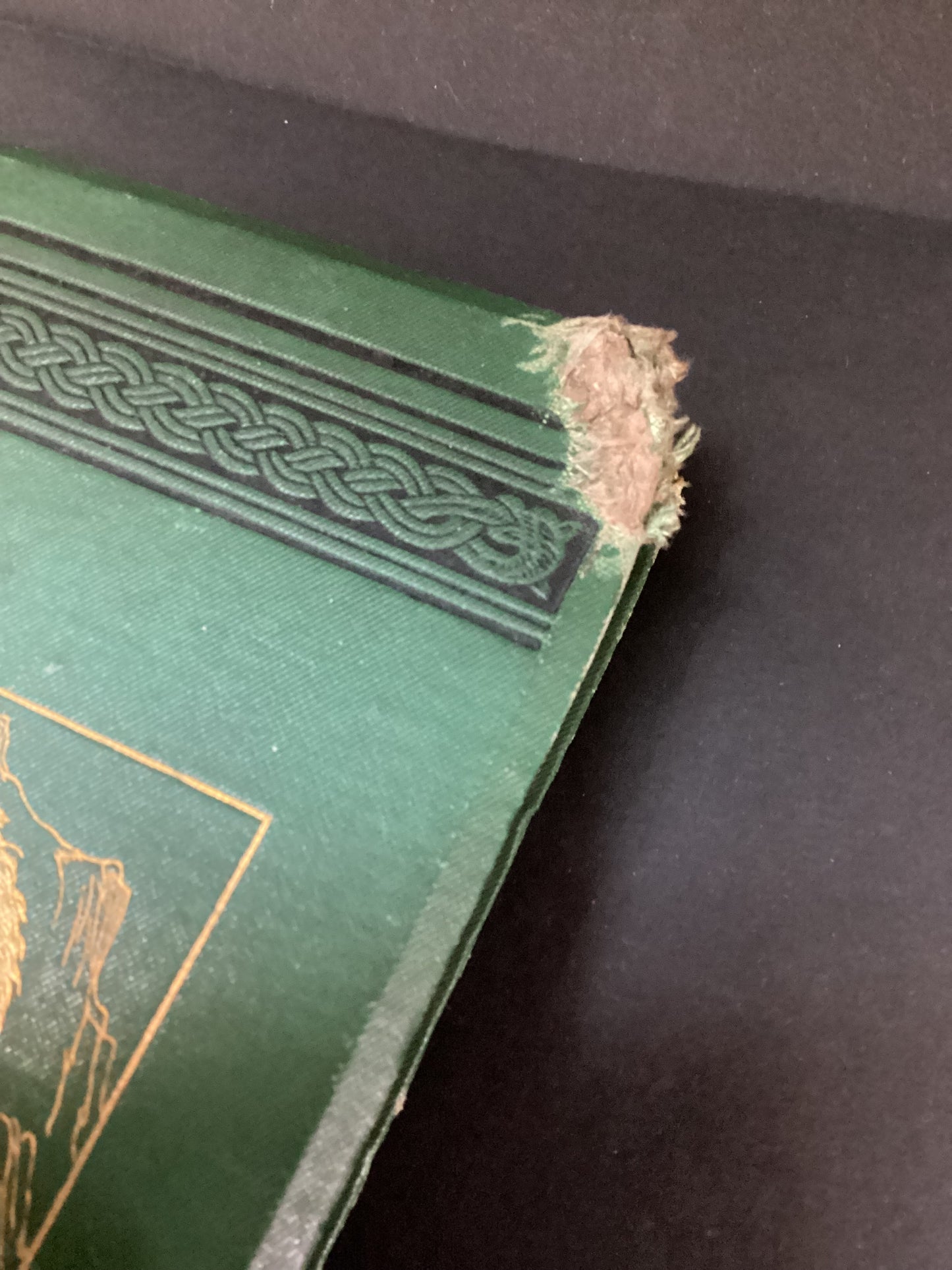 Animal Life in the Primeval World by W.H.Davenport Adams