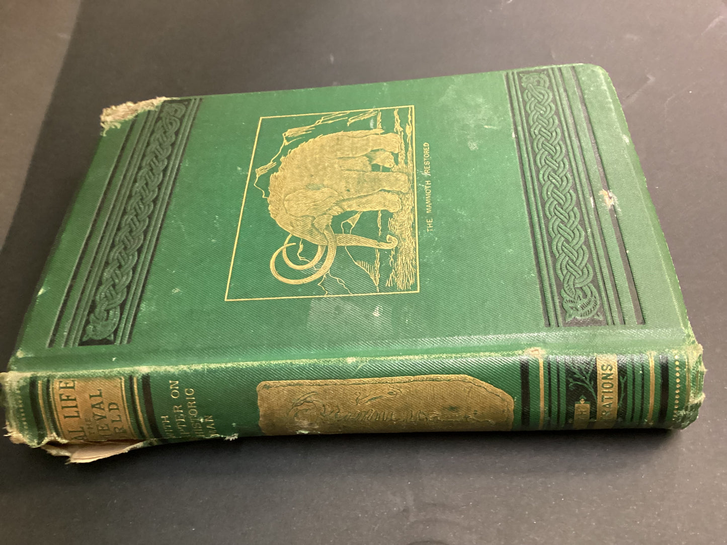 Animal Life in the Primeval World by W.H.Davenport Adams