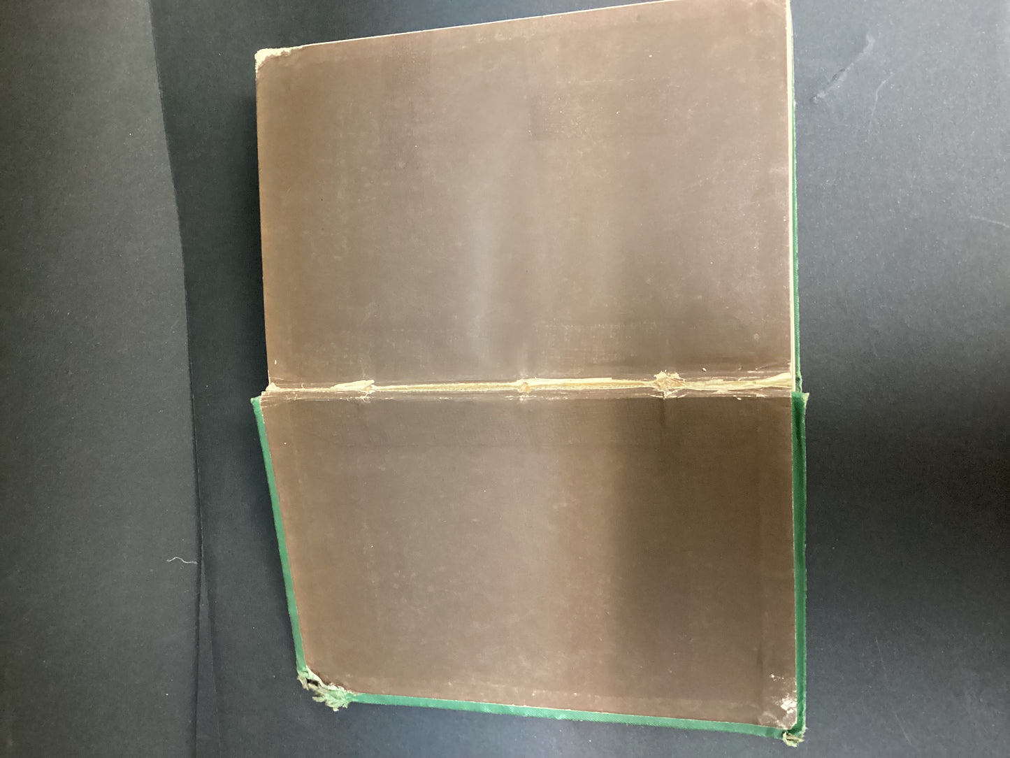 Animal Life in the Primeval World by W.H.Davenport Adams