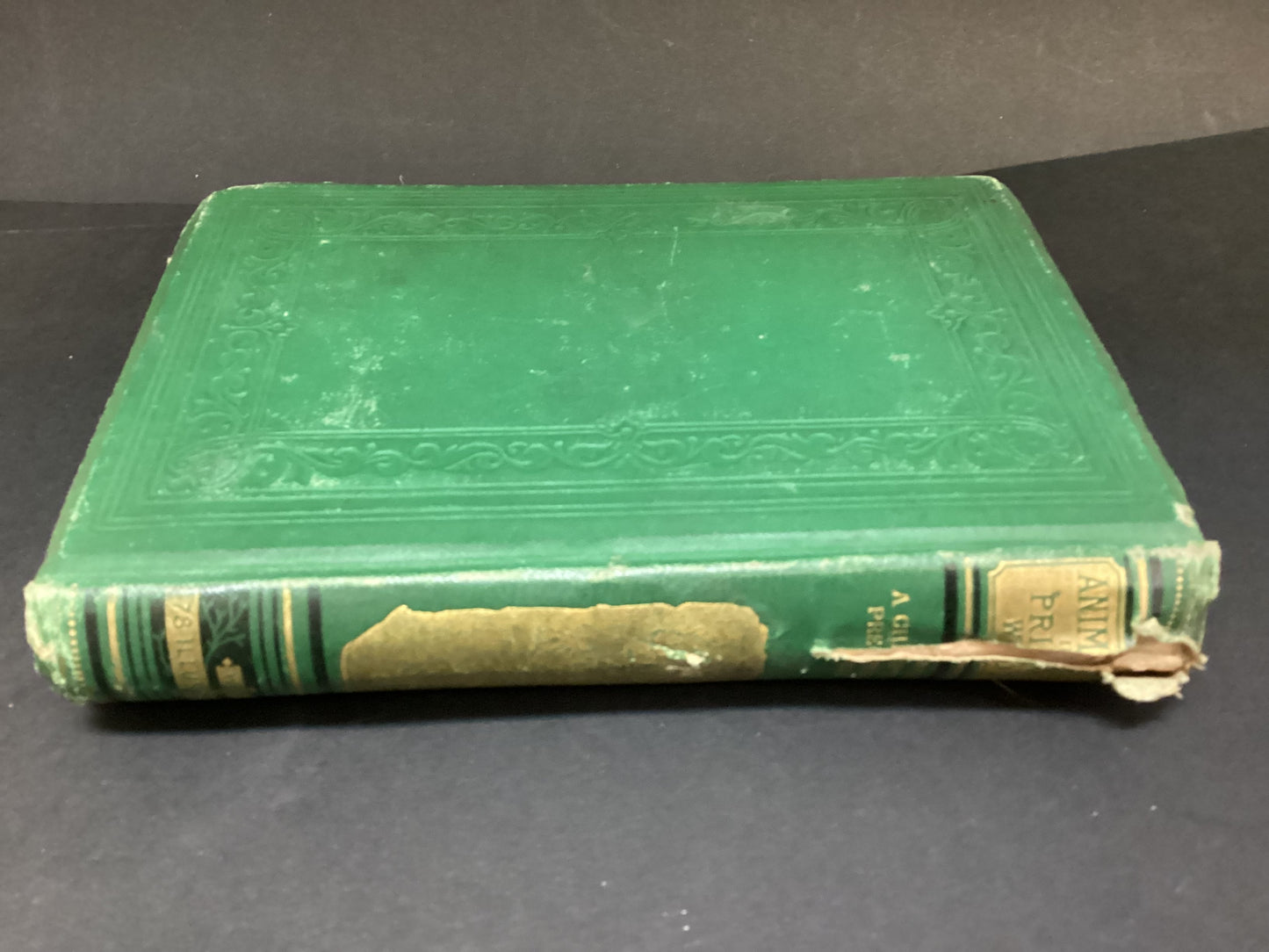 Animal Life in the Primeval World by W.H.Davenport Adams