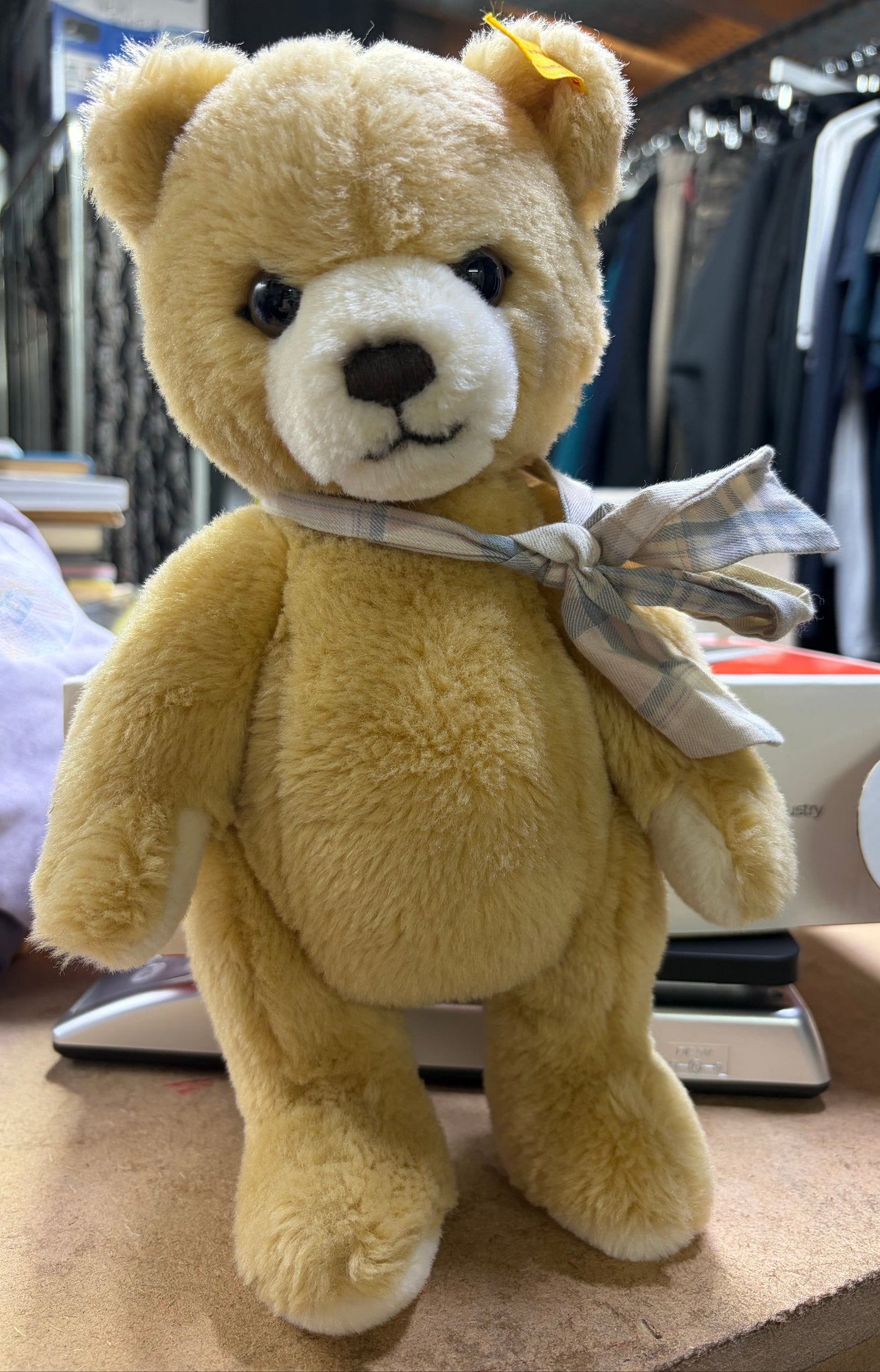 Steiff Teddybear Petsy - 012266