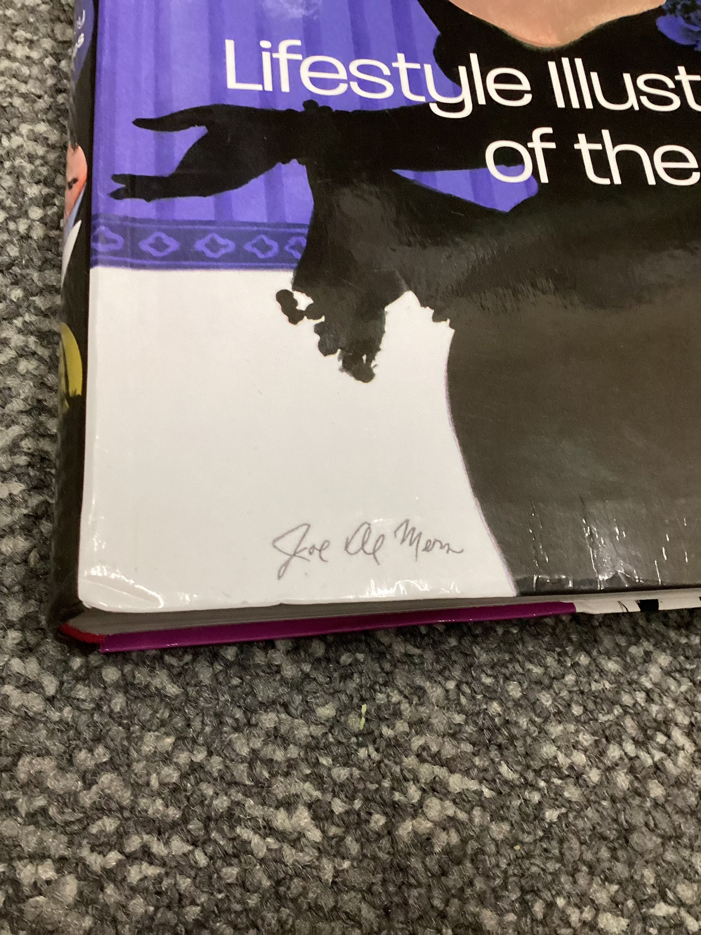 Lifestyle Illustration of the 1950s - Edited by Rian Hughes