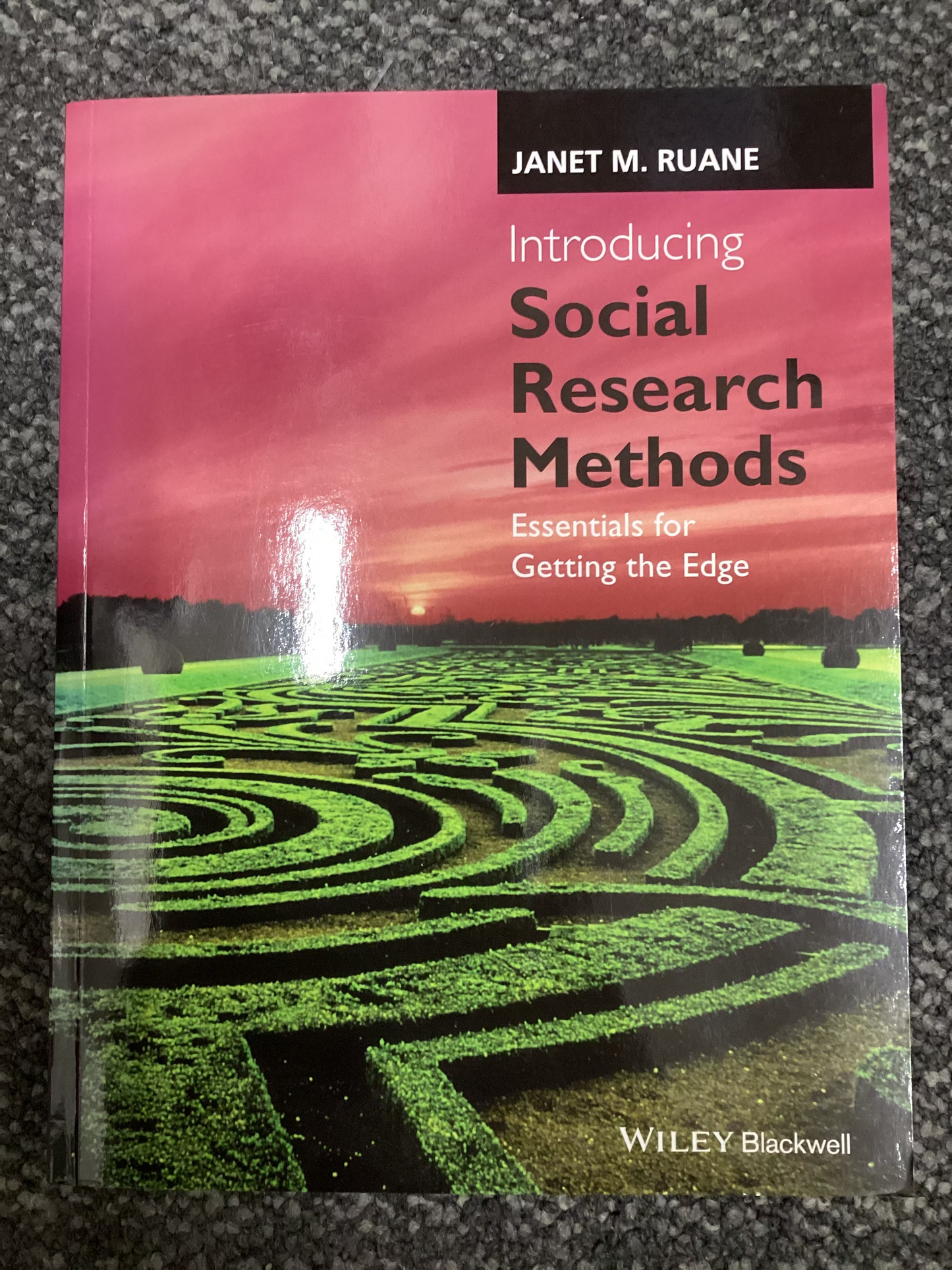 Introducing Social Research Methods - Essentials for Getting the Edge - Janet M. Ruane