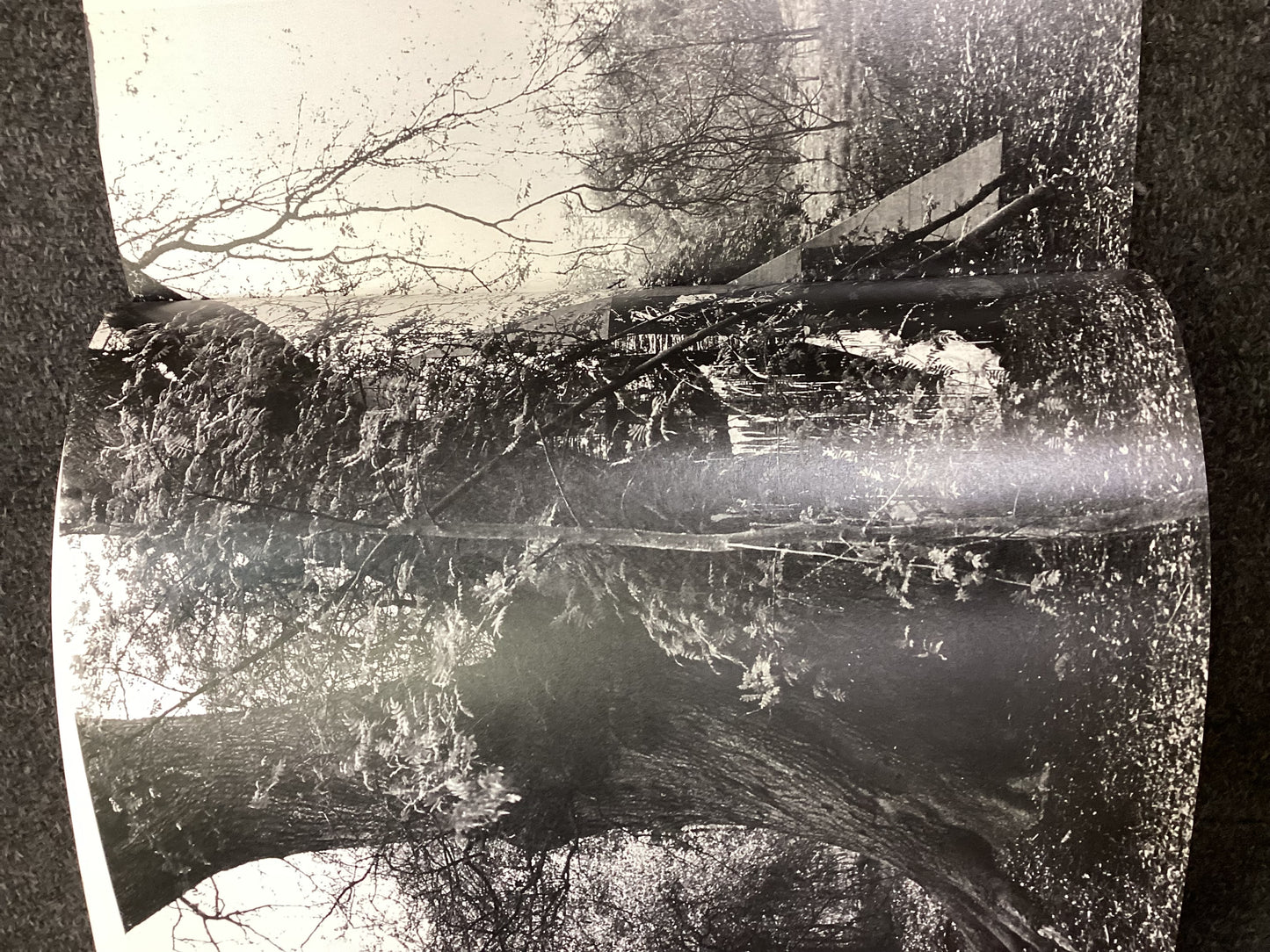 Ian McKeever: Paintings 1978–1990
