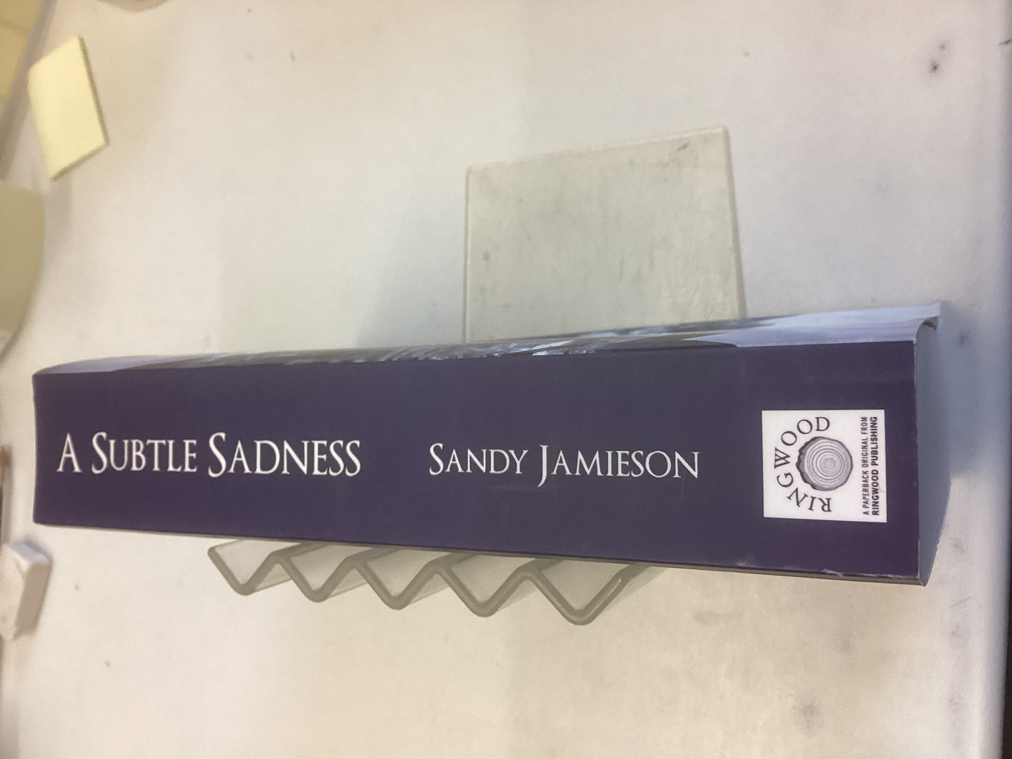 A Subtle Sadness Sandy Jamieson Signed