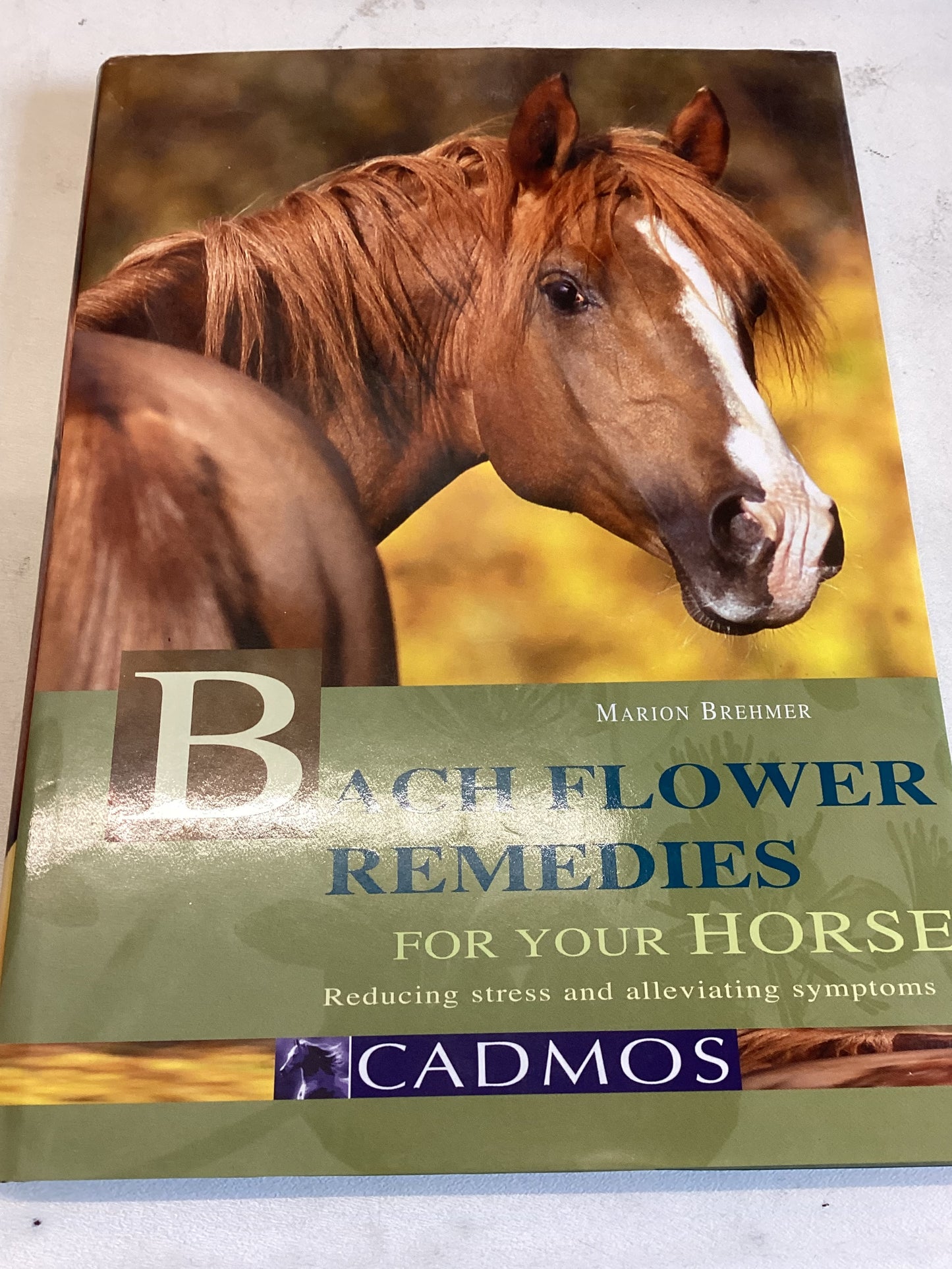 Bach Flower Remedies For Your Horses Reducing Stress and Alleviating Symptions Marion Brehmer