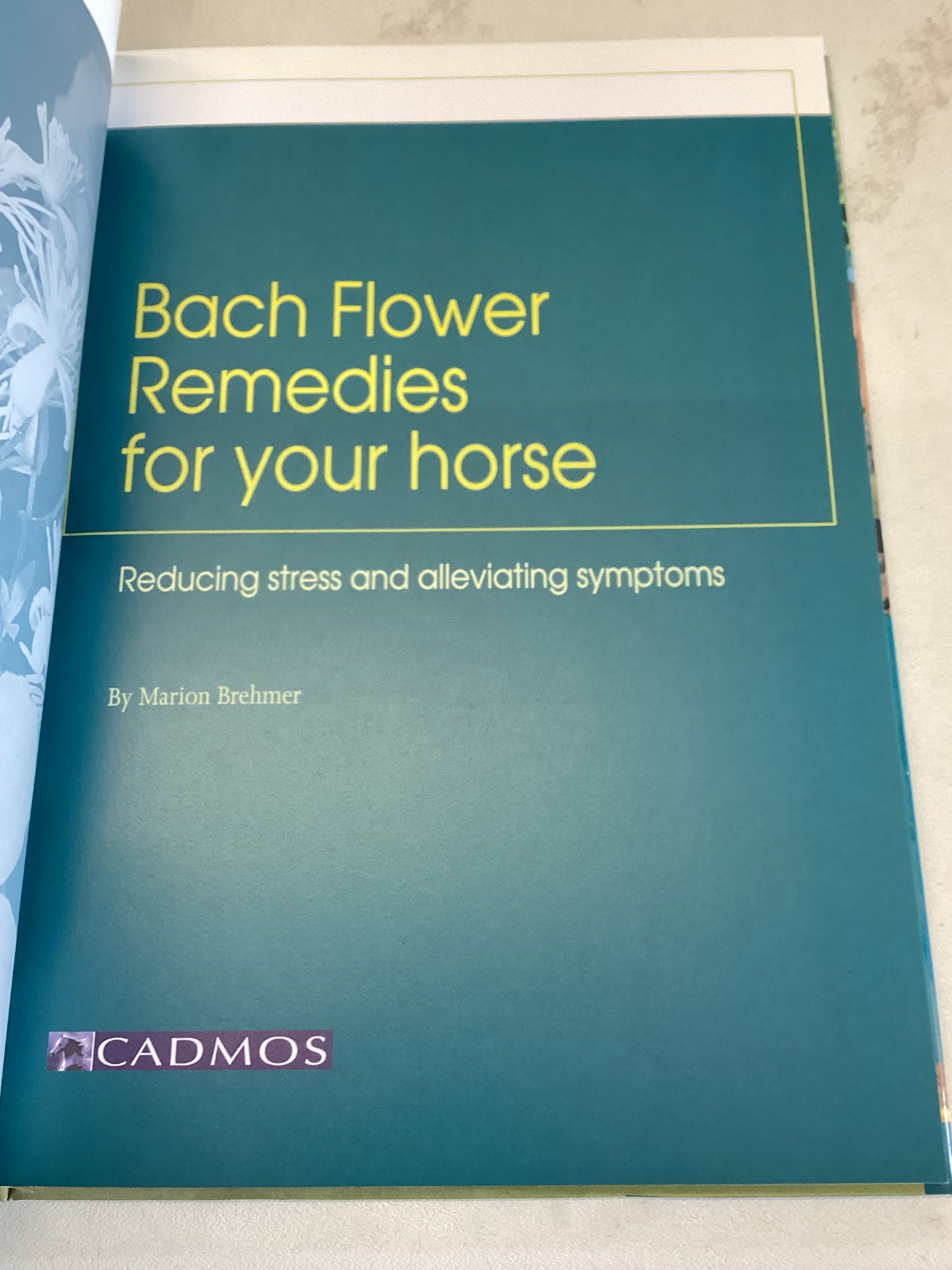 Bach Flower Remedies For Your Horses Reducing Stress and Alleviating Symptions Marion Brehmer