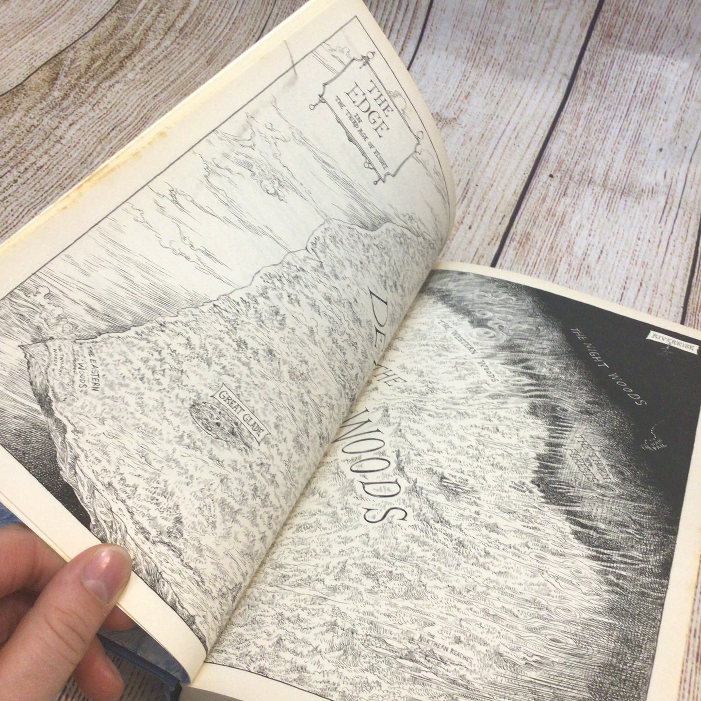 The Edge Chronicles - The Immortals by Paul Stewart & Chris Riddell (Signed, 2009)