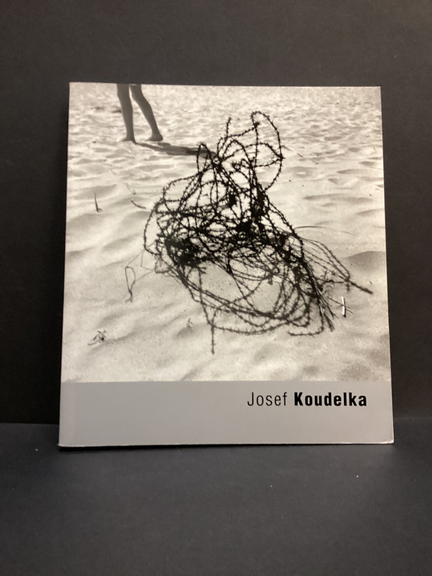 Joseph Koudelka (2002) by Karel Kvizdala and Joeseph Koudelka