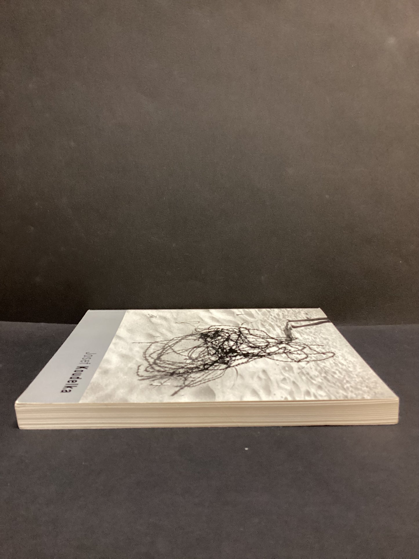 Joseph Koudelka (2002) by Karel Kvizdala and Joeseph Koudelka