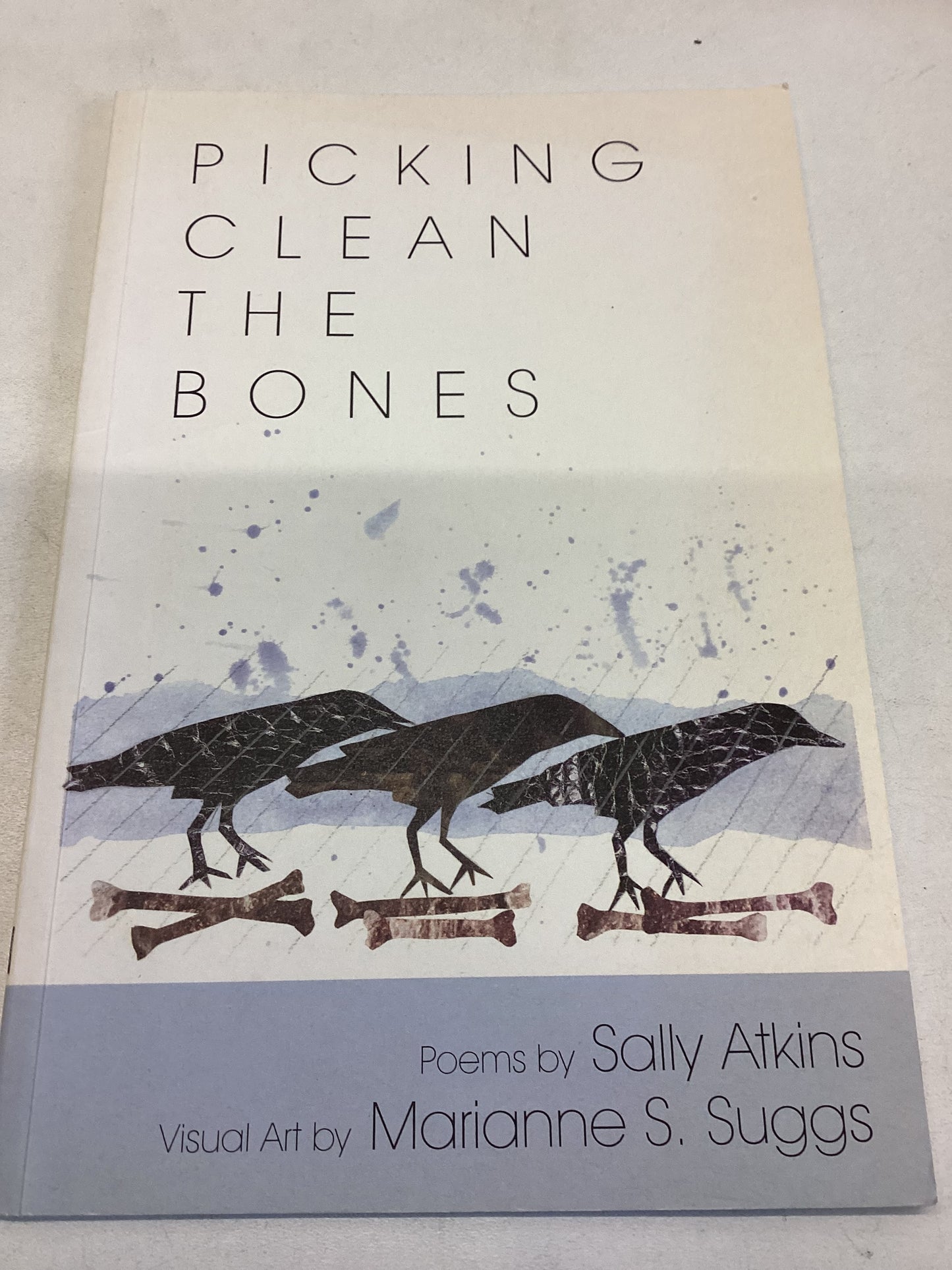 Picking Clean The Bones Poems by Sally Atkins Visual Art by Marianne S Suggs