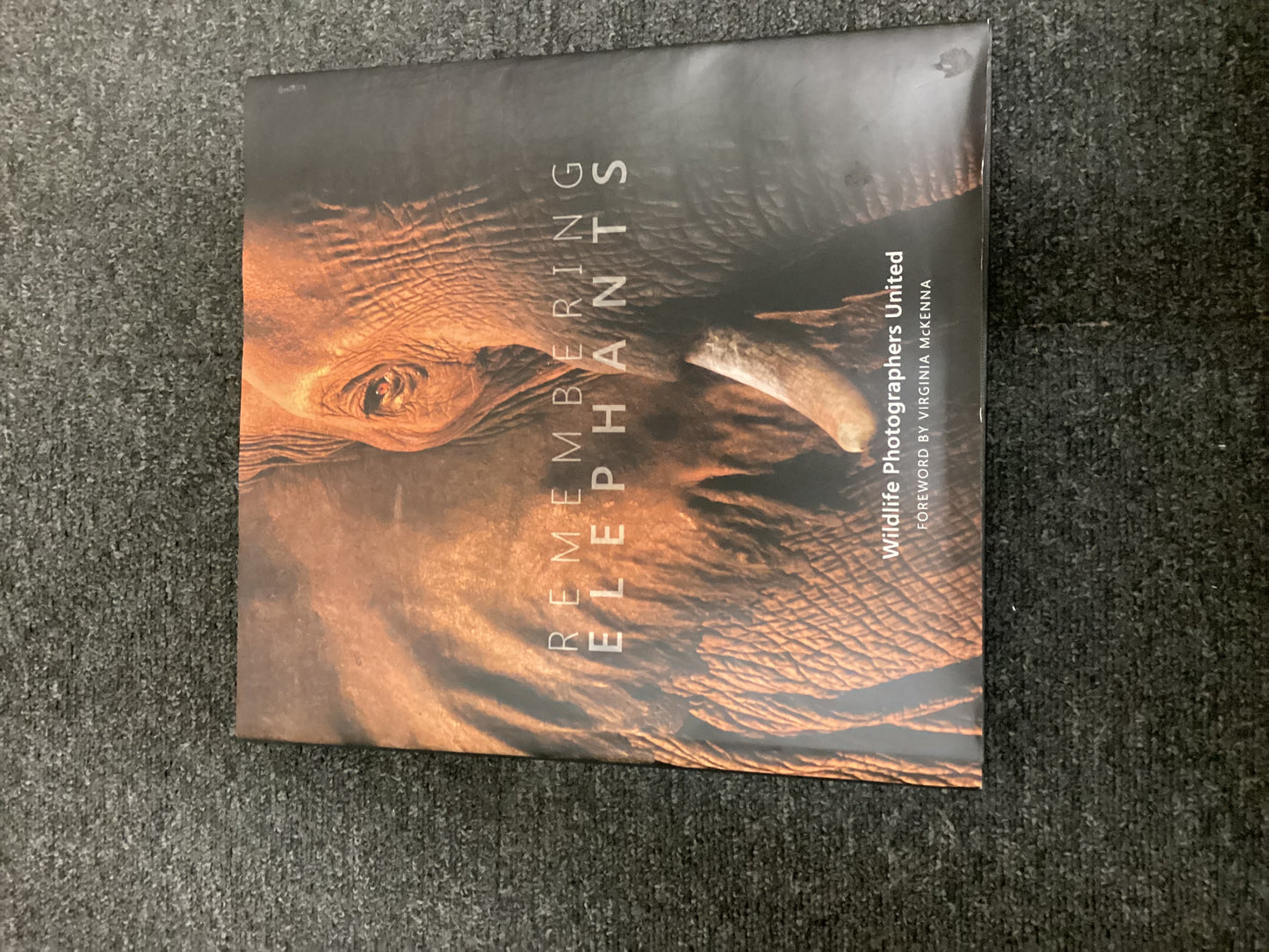 Remembering Elephants by Wildlife Photographers United incl. Margot Raggett