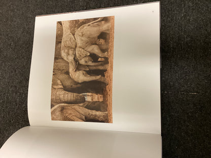 Remembering Elephants by Wildlife Photographers United incl. Margot Raggett