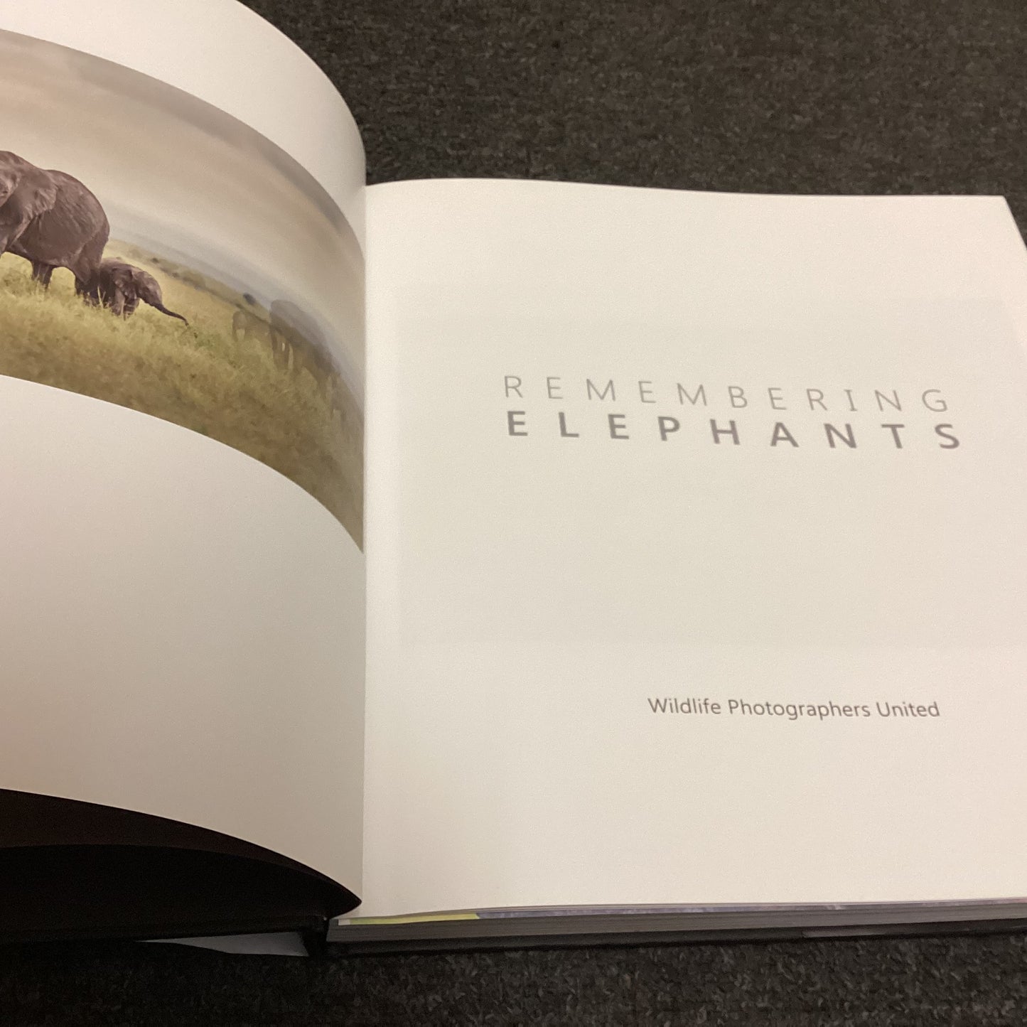Remembering Elephants by Wildlife Photographers United incl. Margot Raggett