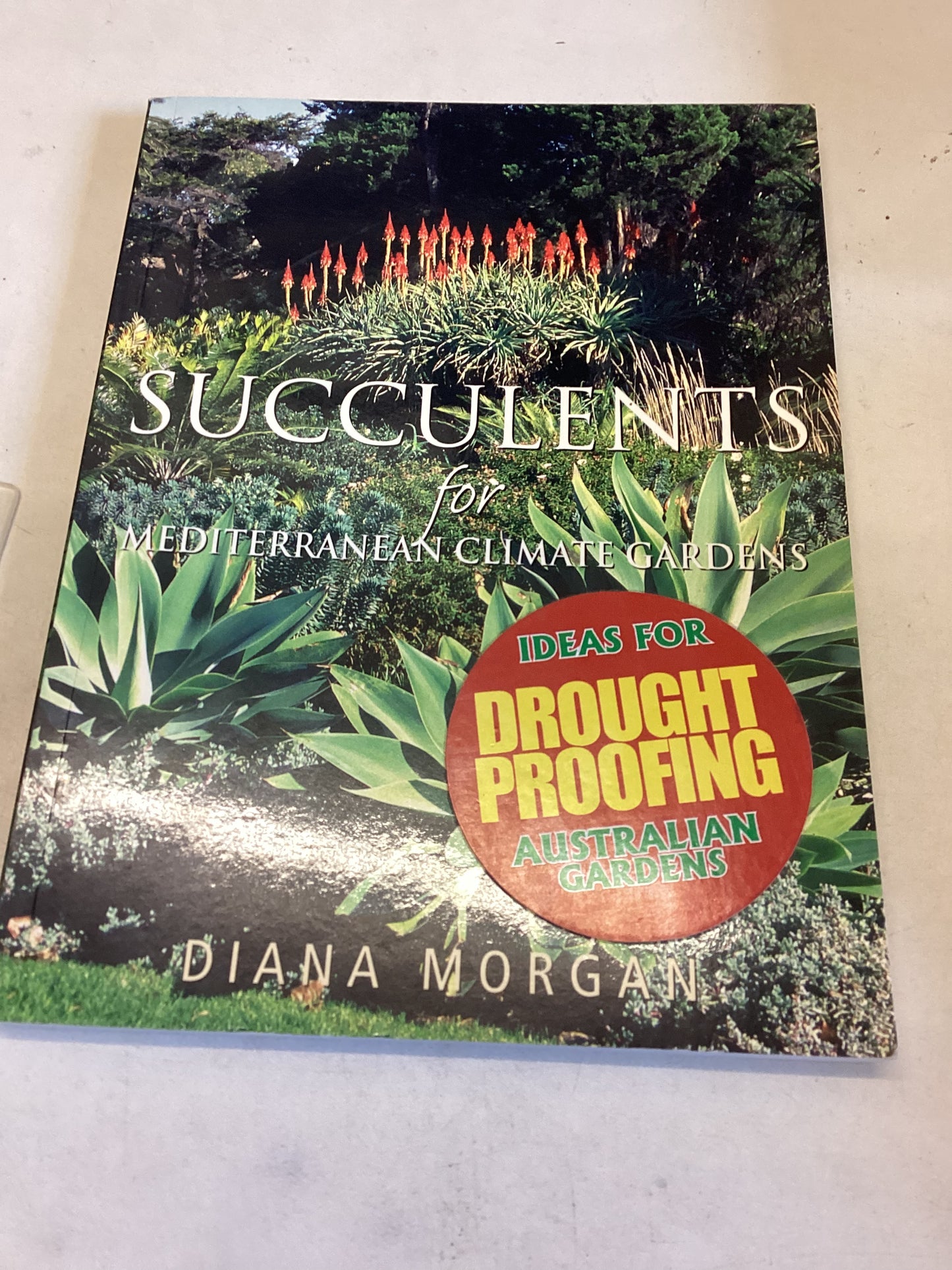 Succulents For Mediterranean Climate Gardens Ideas For Drought Proofing Australian Gardens Diana Morgan