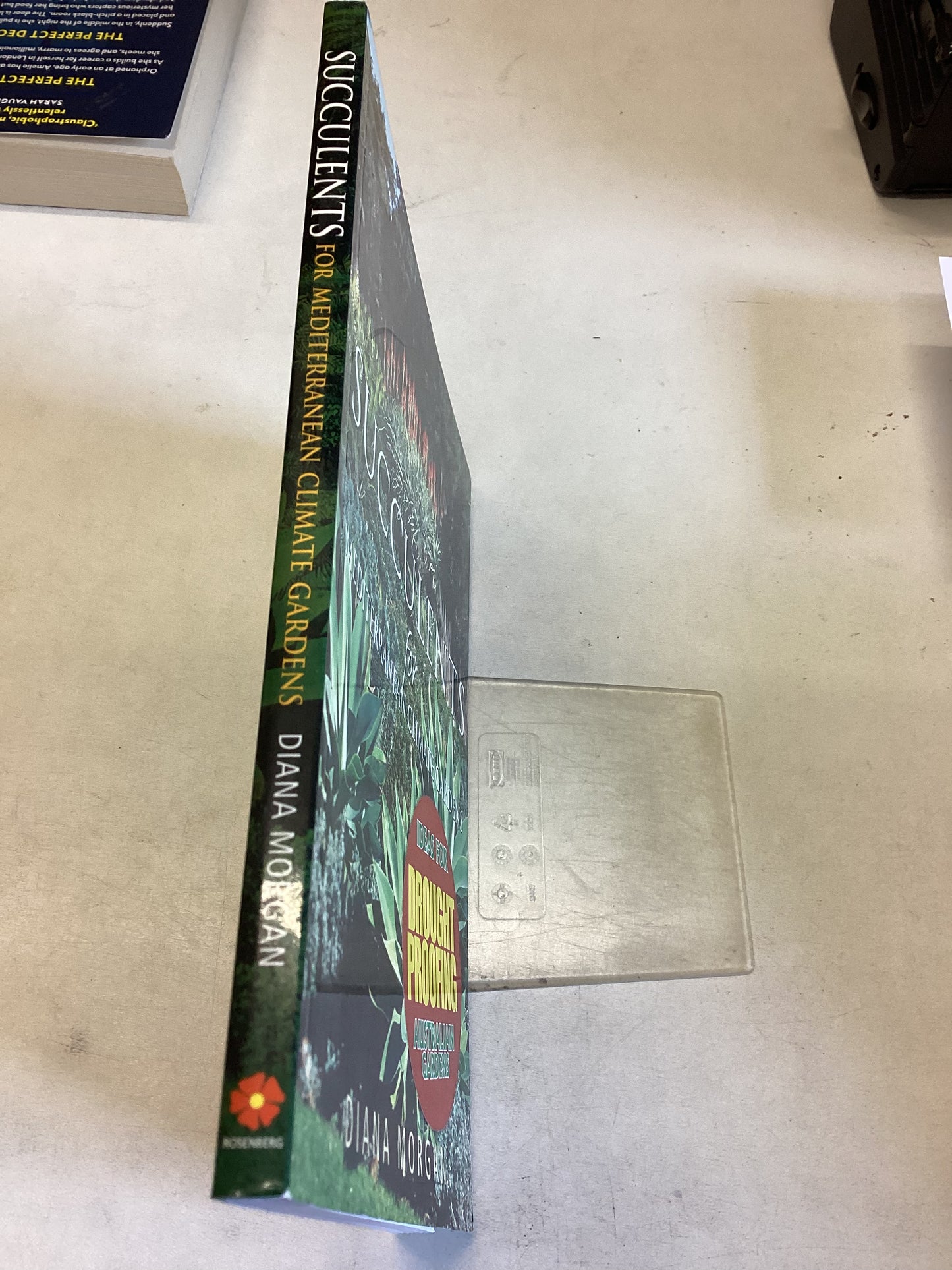 Succulents For Mediterranean Climate Gardens Ideas For Drought Proofing Australian Gardens Diana Morgan