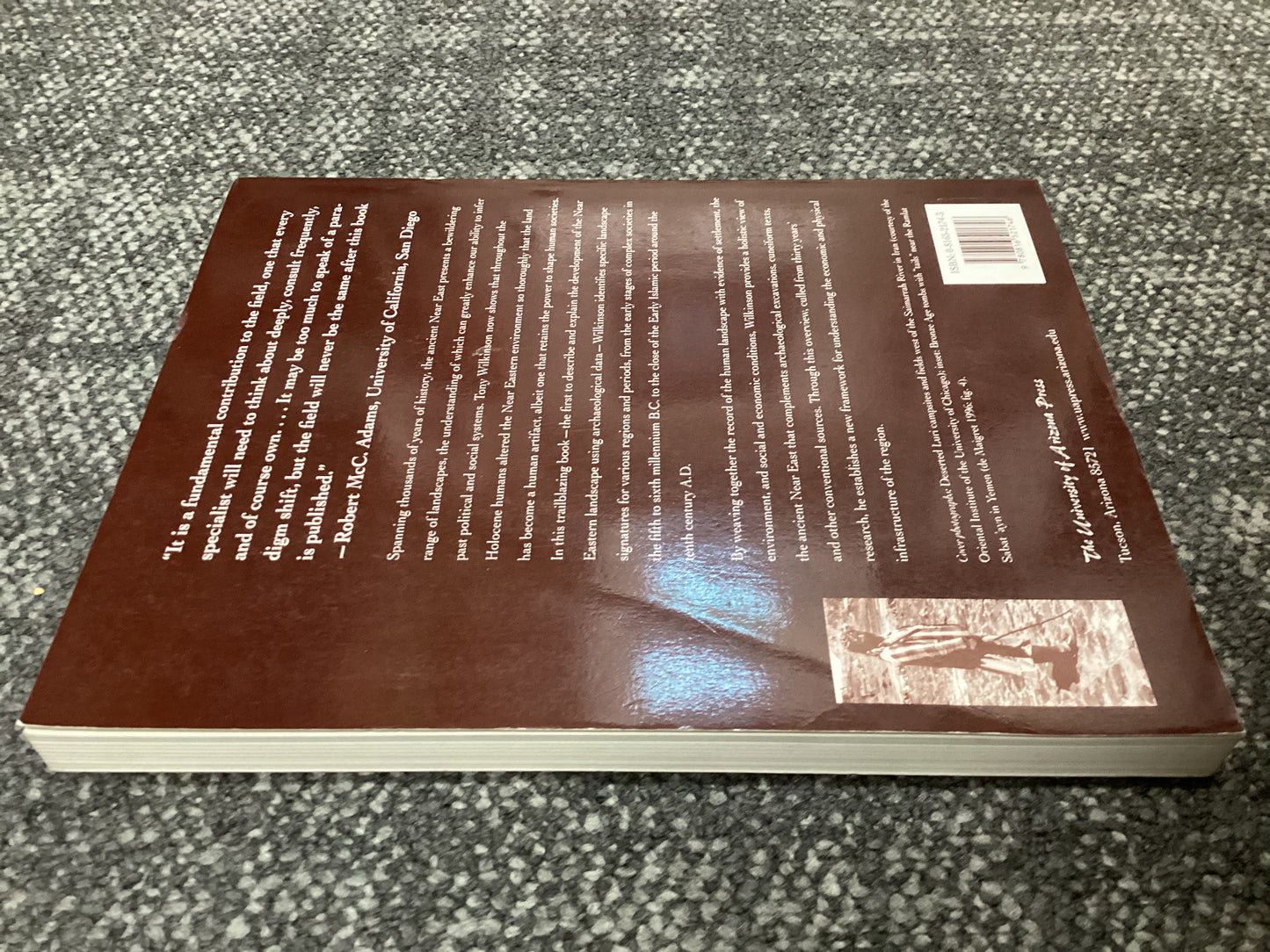 Archaelogical Landscapes of the Near East - T. J. Wilkinson