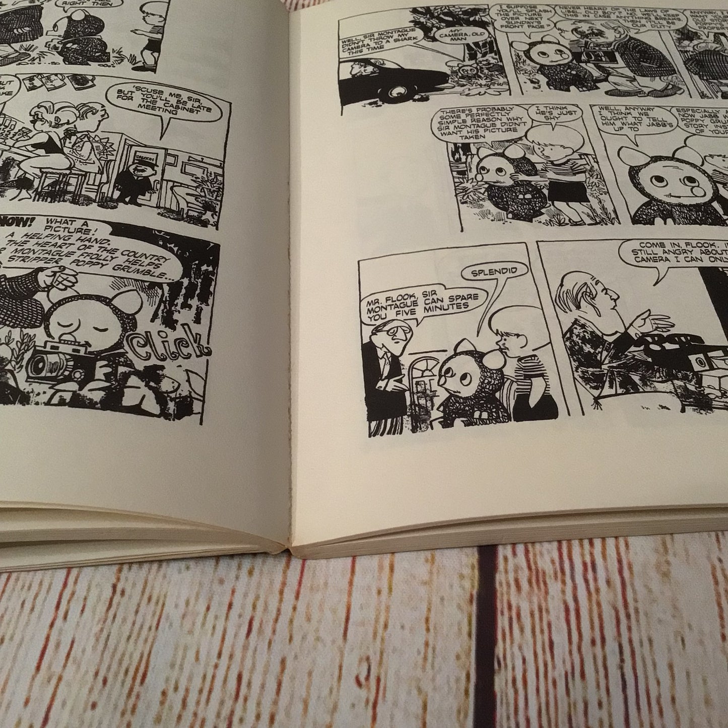 Flook: A Flook’s-eye View of the Sixties by Trog (1971) 028397818X