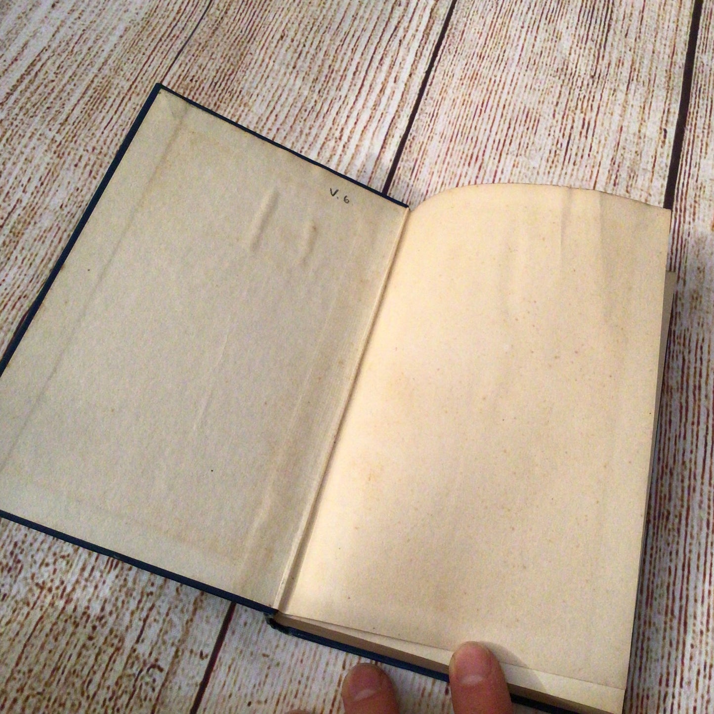 The Silence of Amor Where the Forest Murmurs by ‘Fiona McLeod’ [William Sharp] (1931)