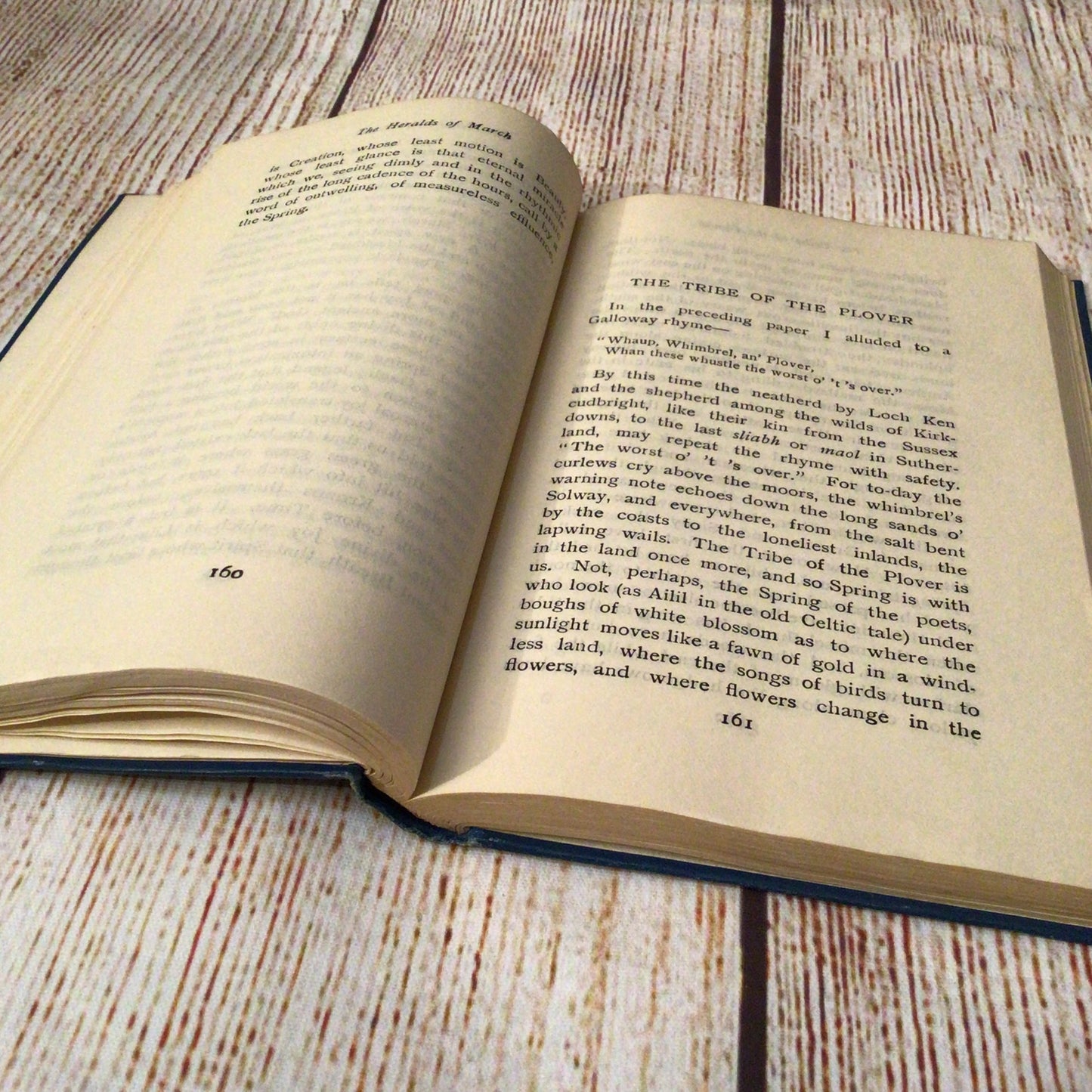 The Silence of Amor Where the Forest Murmurs by ‘Fiona McLeod’ [William Sharp] (1931)