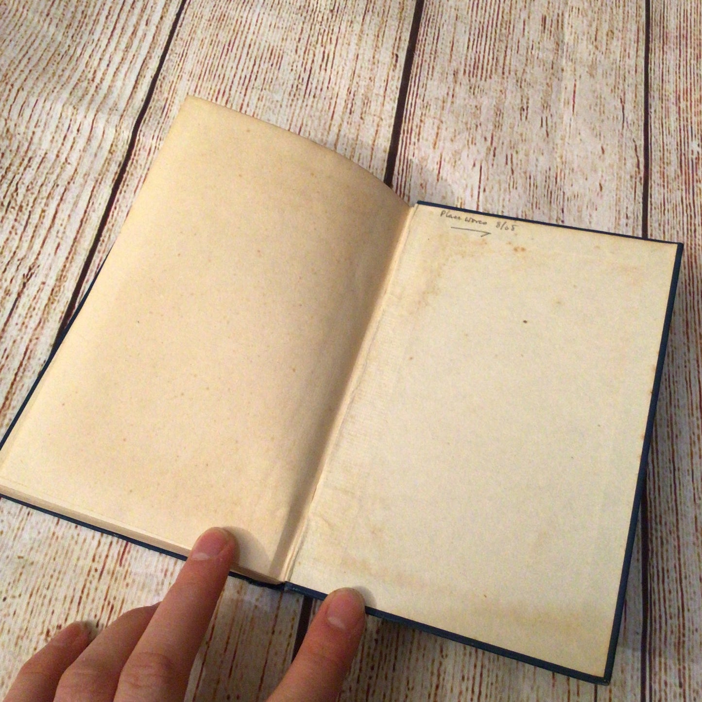 The Silence of Amor Where the Forest Murmurs by ‘Fiona McLeod’ [William Sharp] (1931)