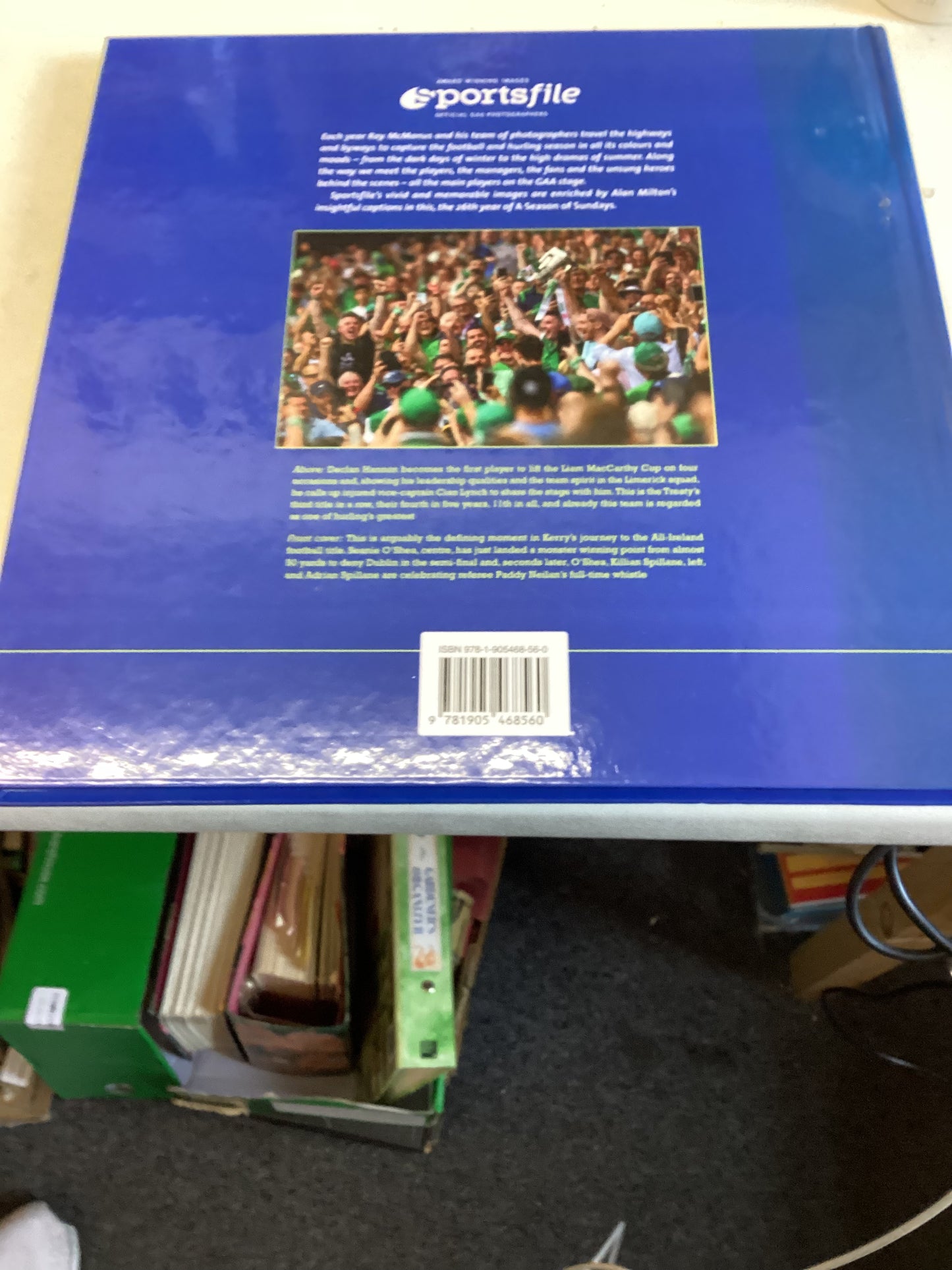 A Season of Sundays Images of the 2022 Gaelic Games Year by The Sportsfile Photographers