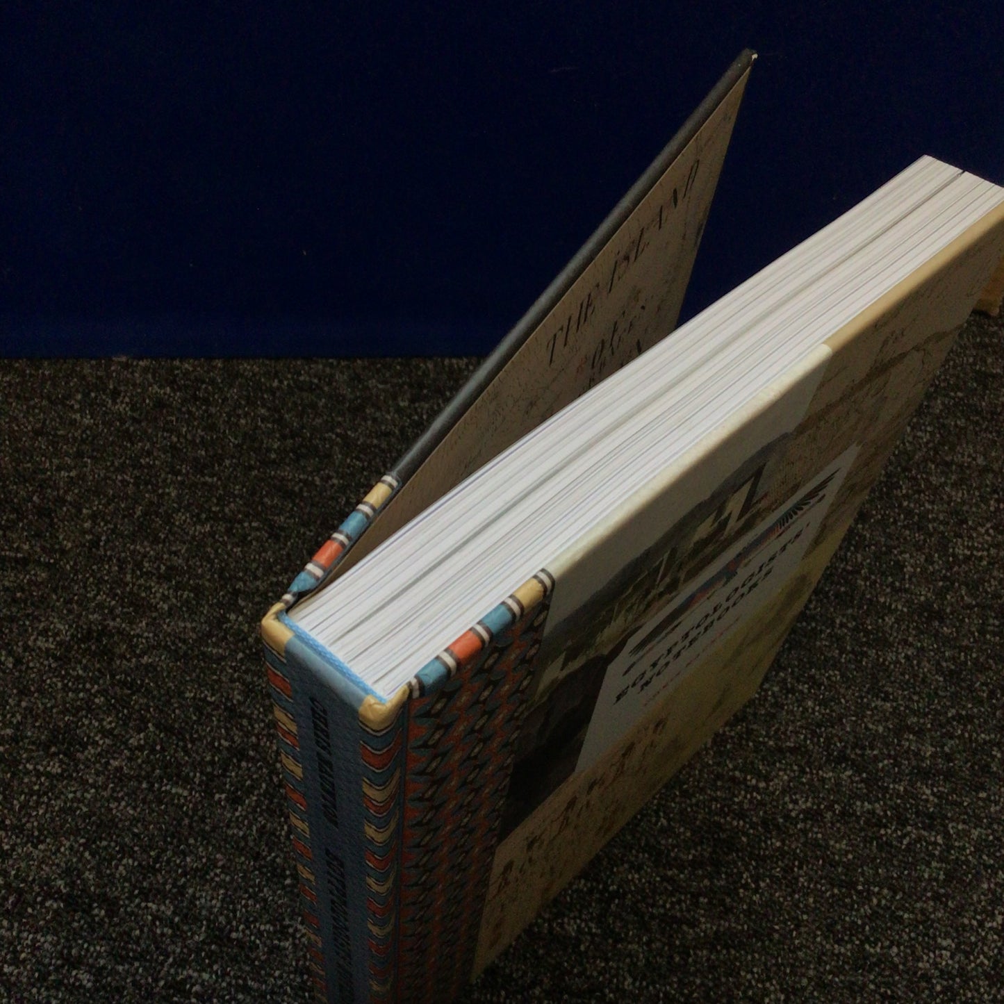 Egyptologists’ Notebooks by Chris Naunton 9780500295298