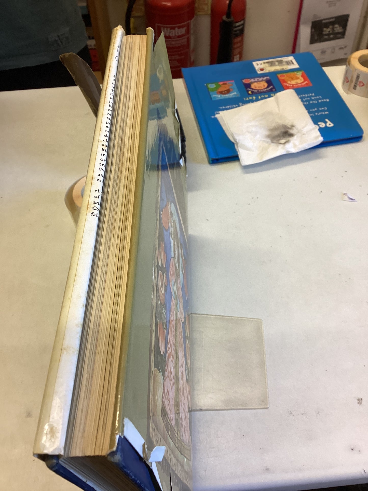 Folk Art Of Czechoslovakia Vera Hasalova and Jaroslav Vajdis