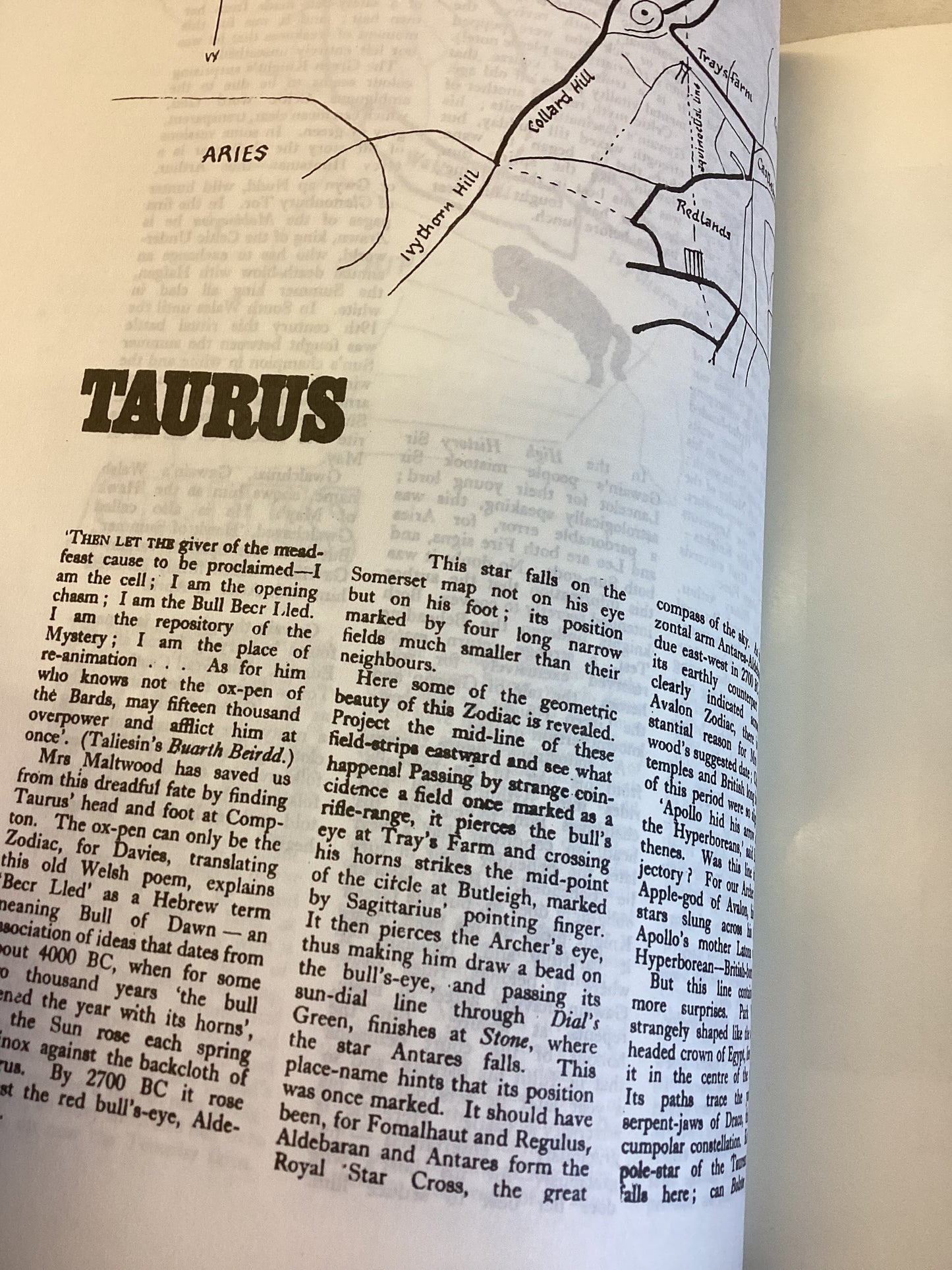 The Glastonbury Giants M Caine