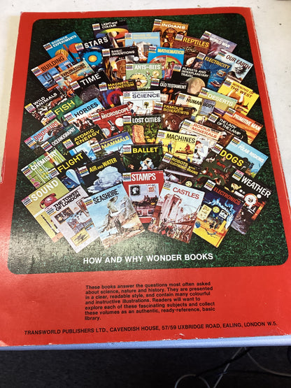 Chemistry The How and Why Wonder Book Of Chemistry