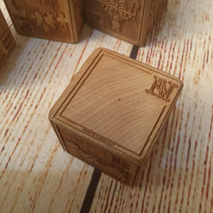 Young Mad Scientist First Wooden Alphabet Blocks (5 Block Set, no box)