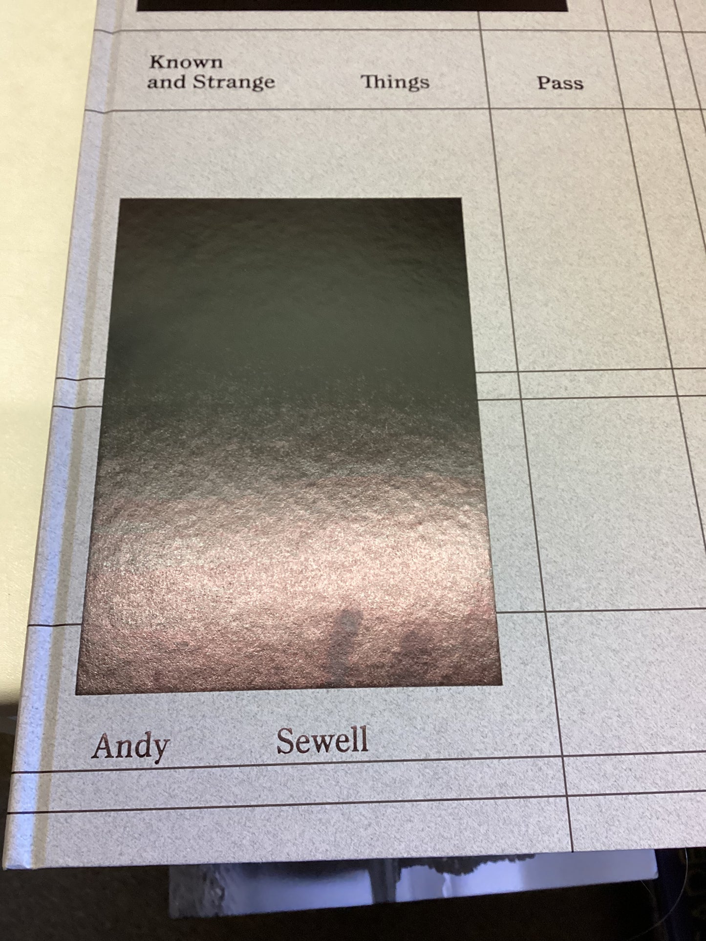 Known and Strange Things Pass  Andy Sewell Signed