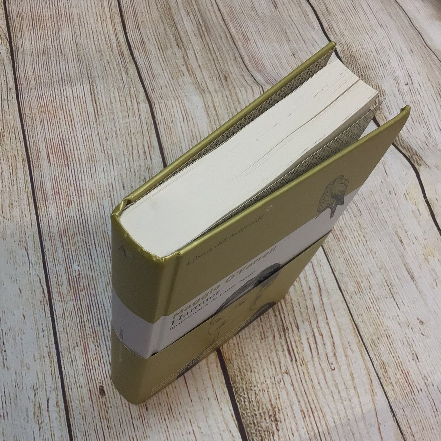 Hamnet by Maggie O'Farrell (Hardcover, 2020) [Spanish] 9788410178779