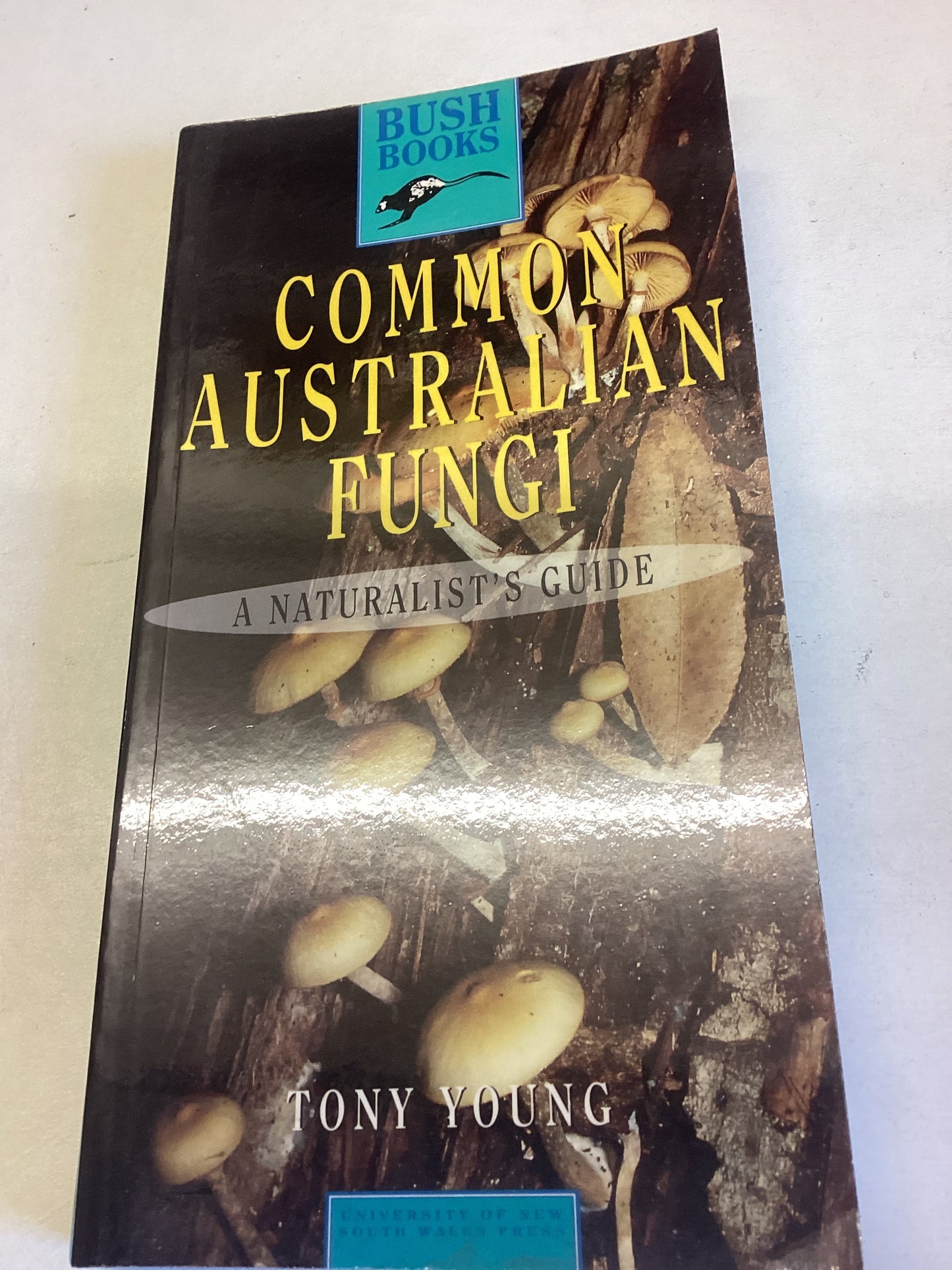 Common Australian Fungi A Naturalist's Guide Tony Young