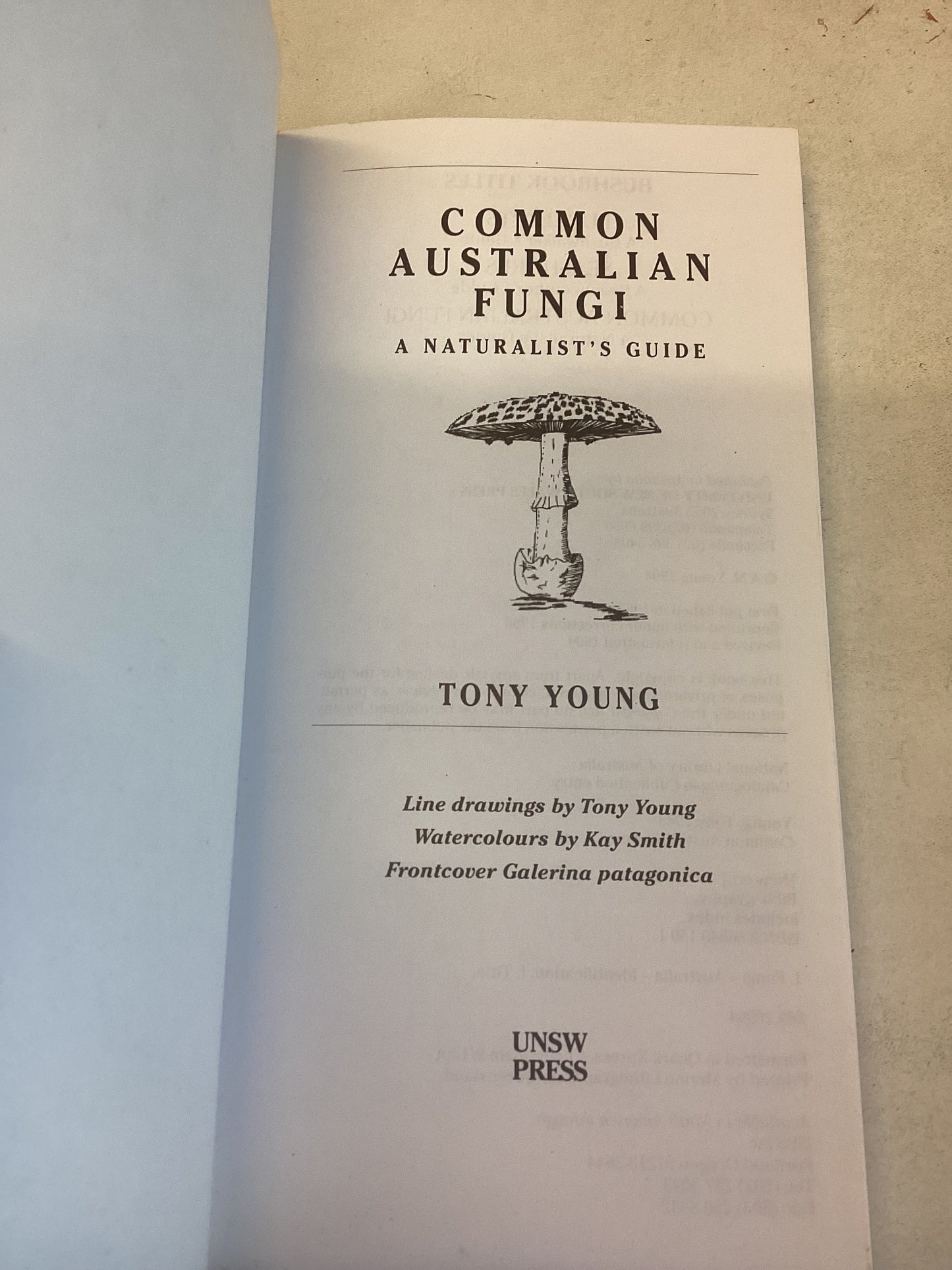 Common Australian Fungi A Naturalist's Guide Tony Young