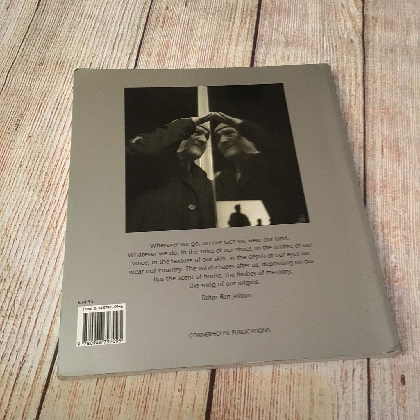 Bloodlines: Vite Allo Specchio by Owen Logan (1994)