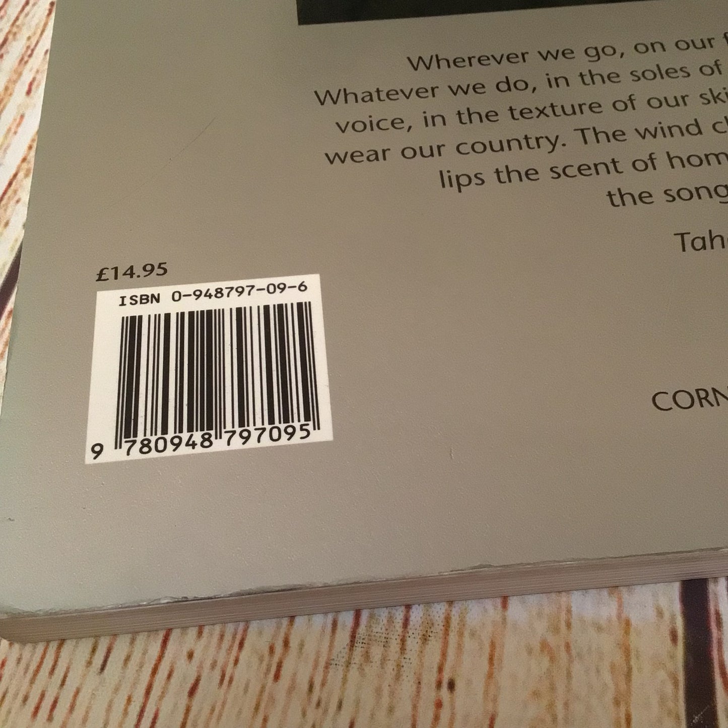 Bloodlines: Vite Allo Specchio by Owen Logan (1994)